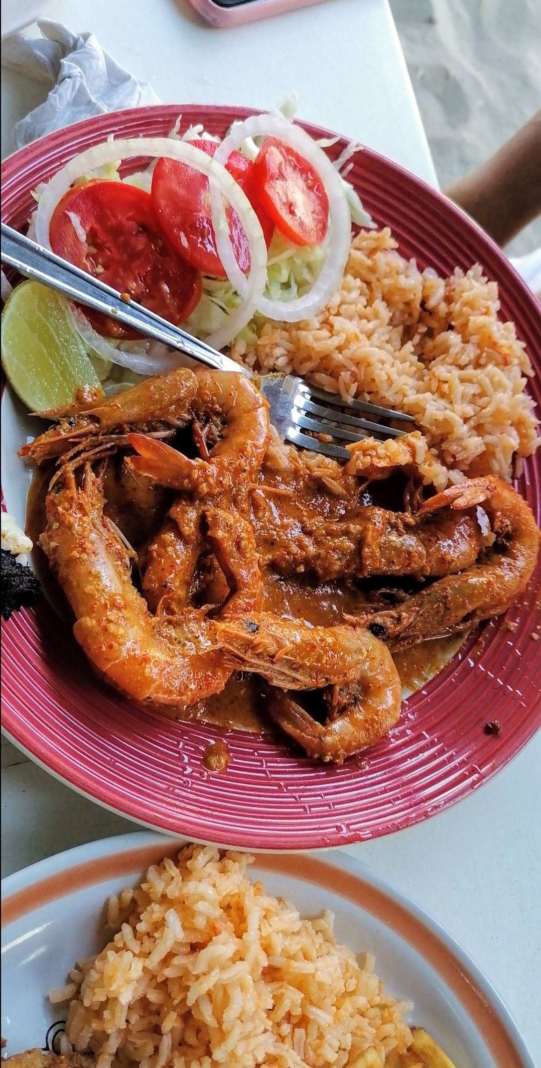 Palapa magna image 3