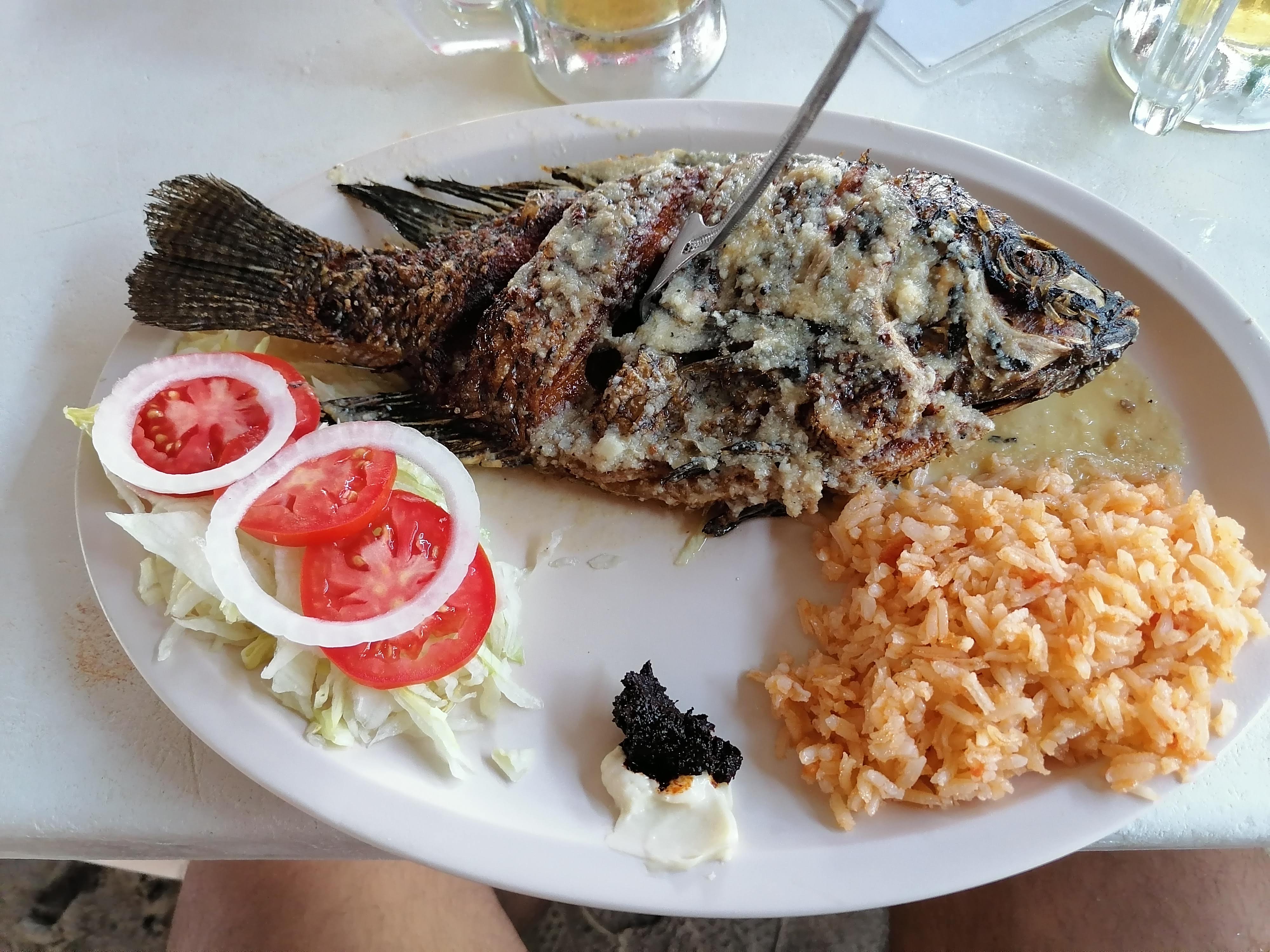 Palapa magna image 4