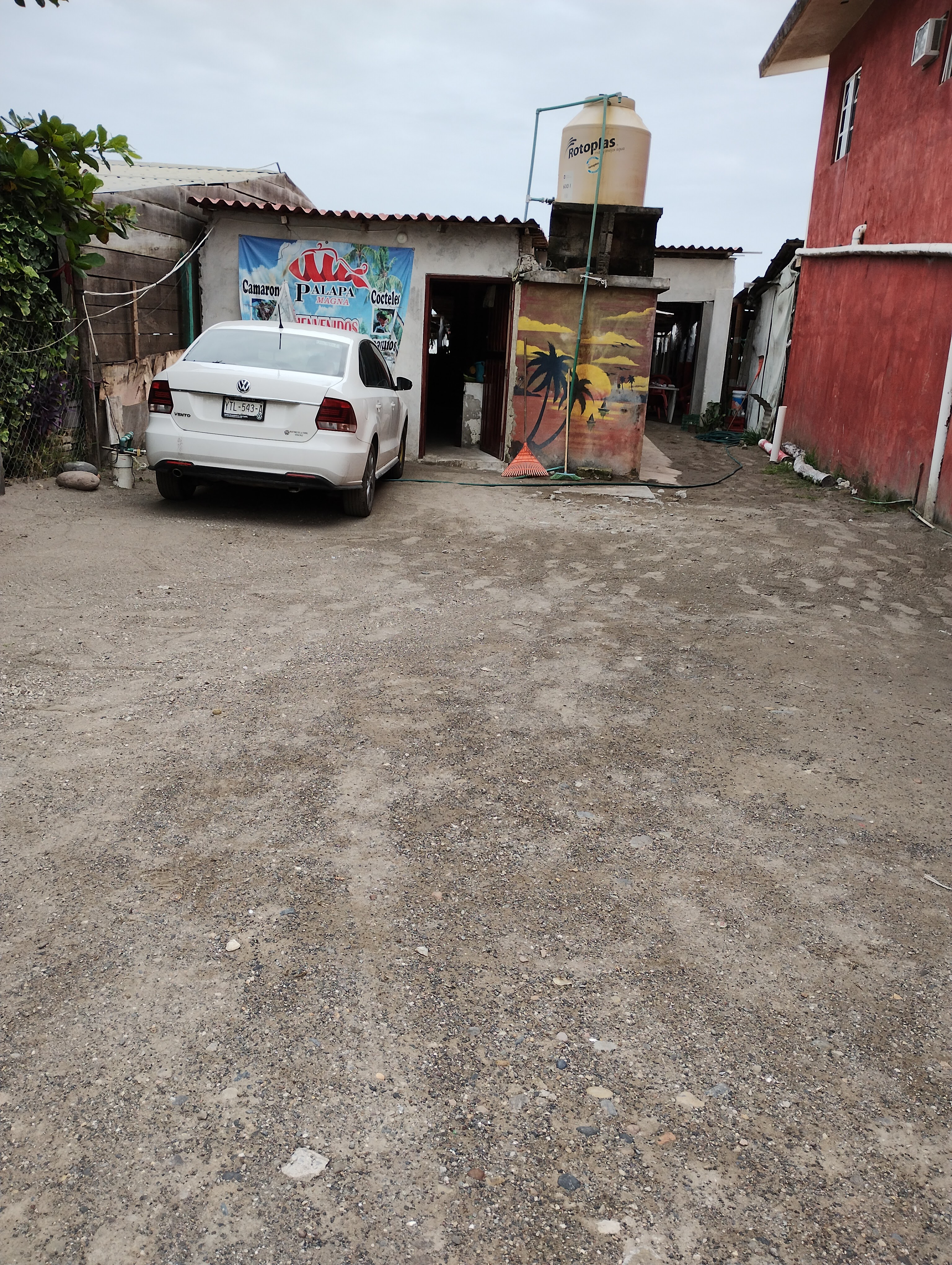 Palapa magna image 5