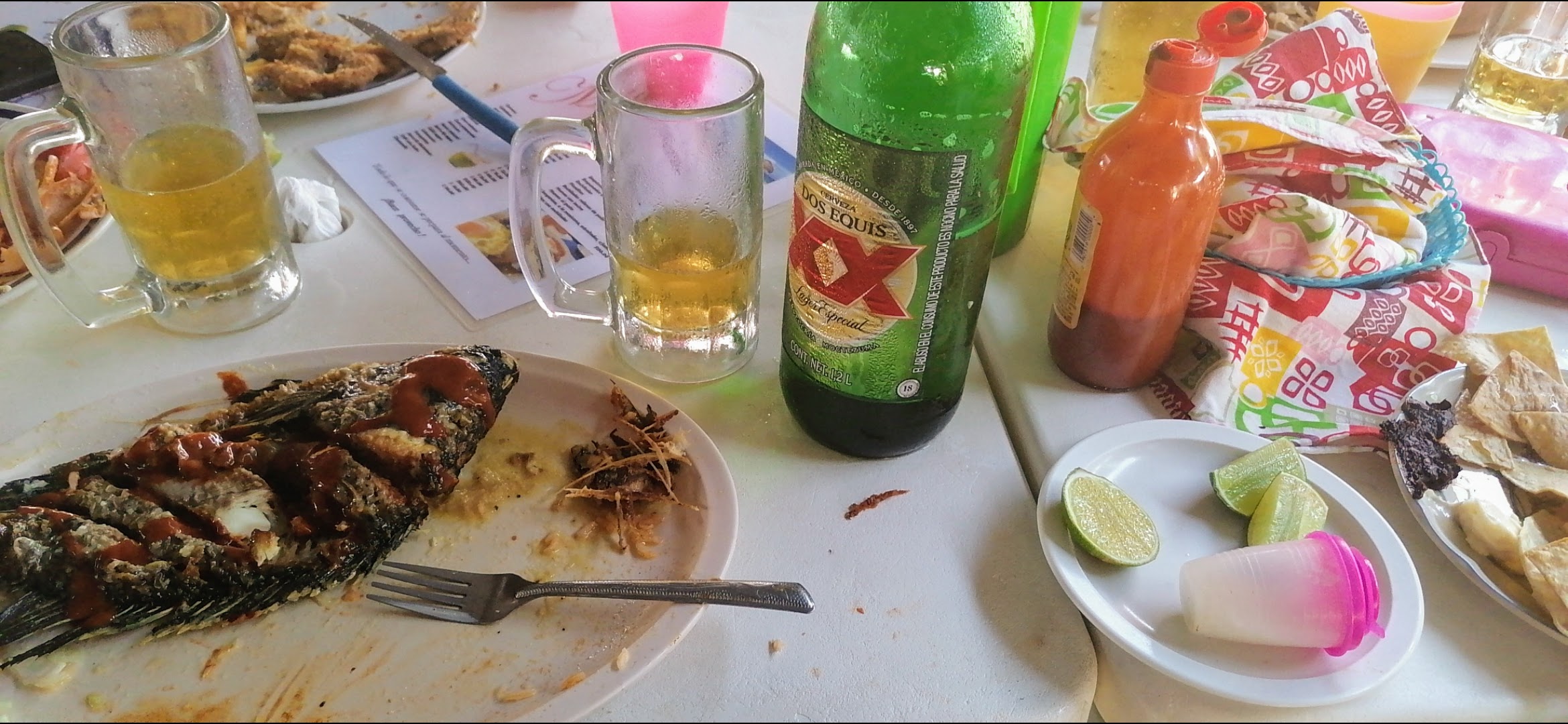 Palapa magna image 7