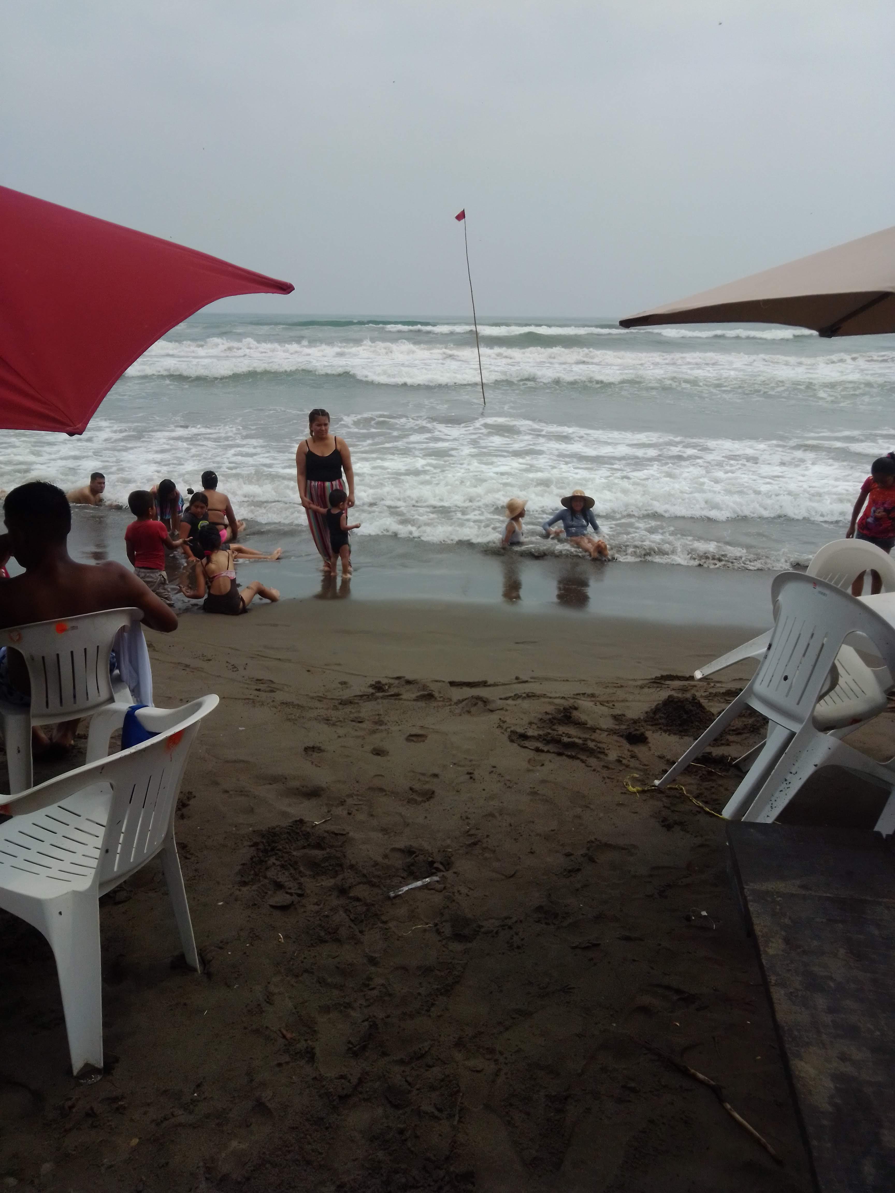 Palapa magna image 8