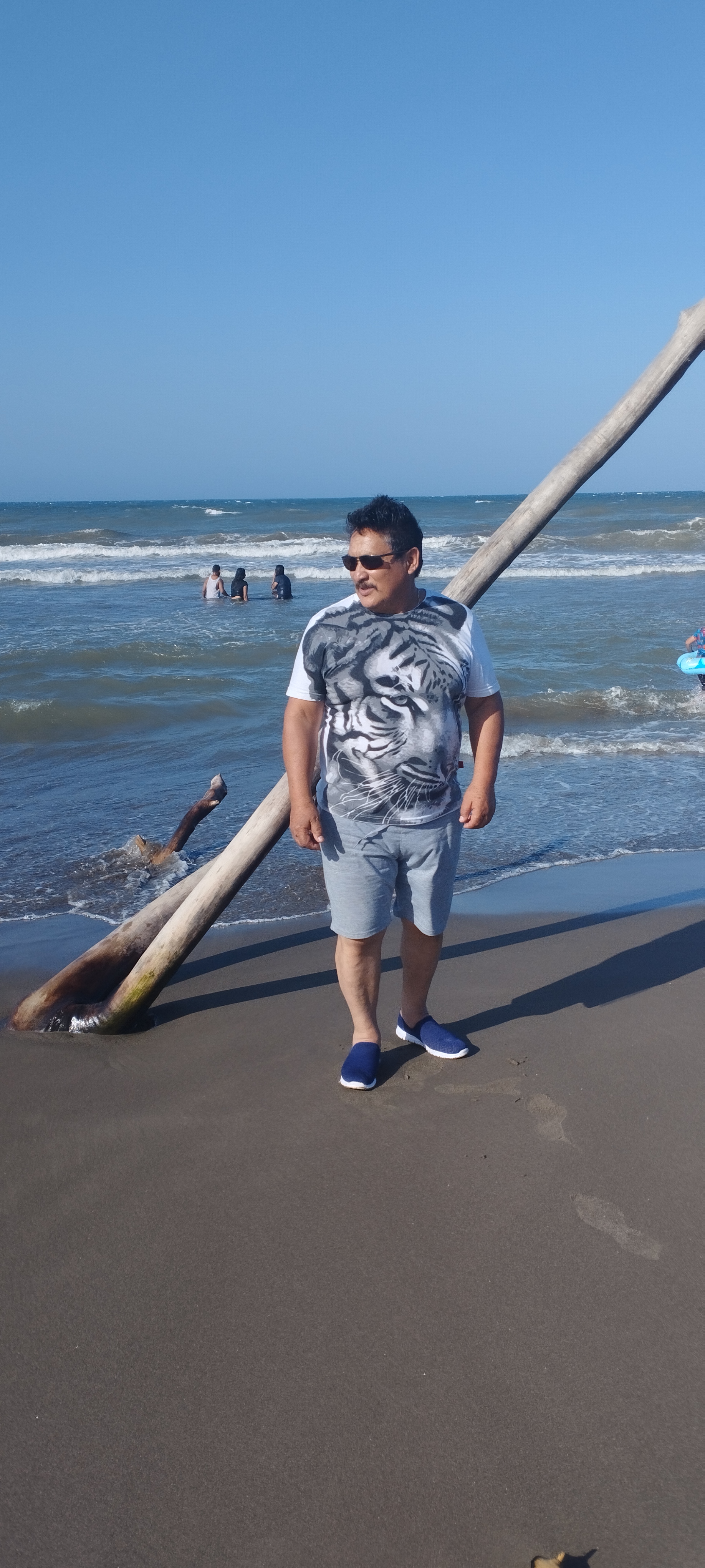 Palapa magna image 9