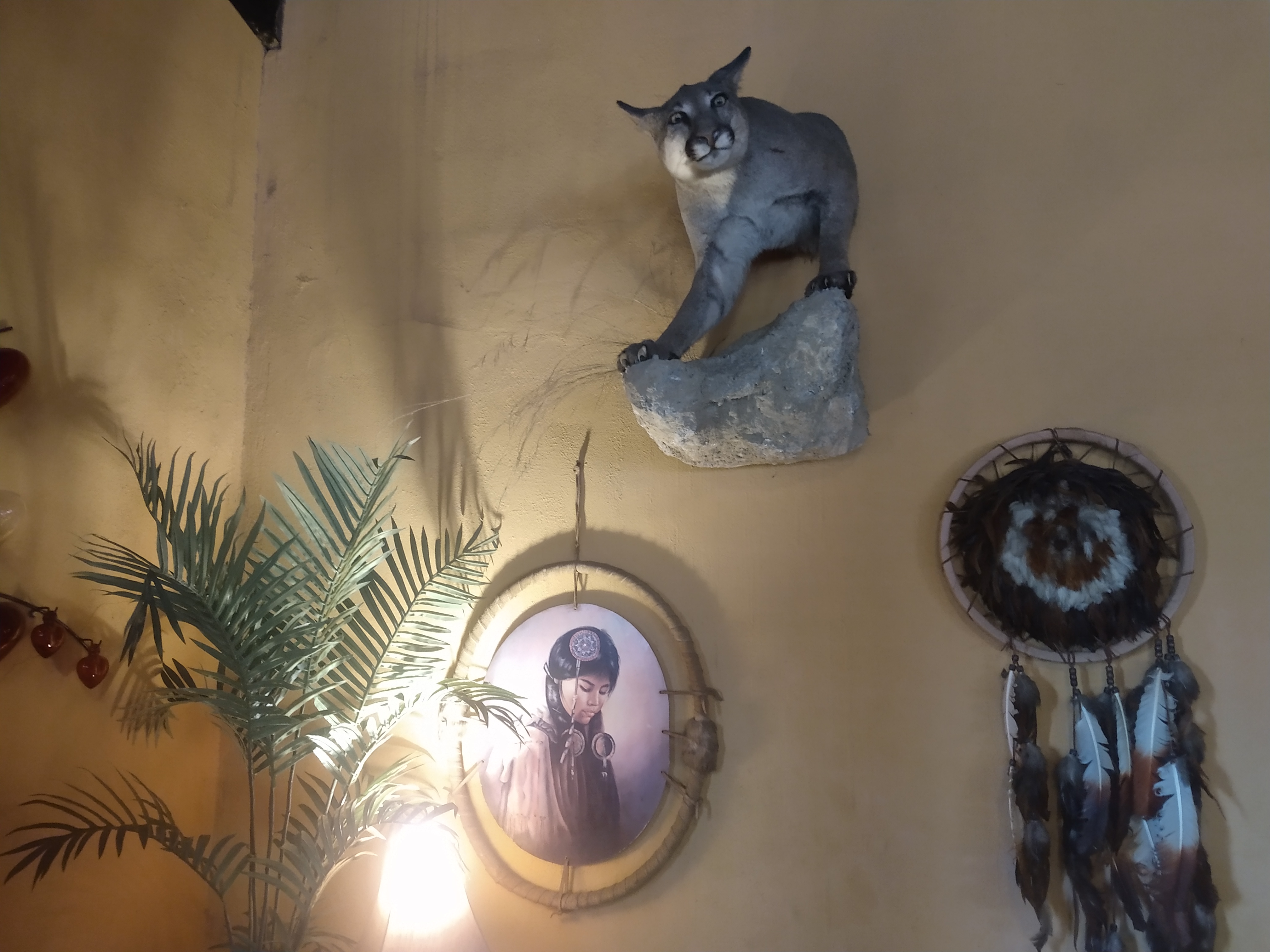 El Jacal Restaurante image 8