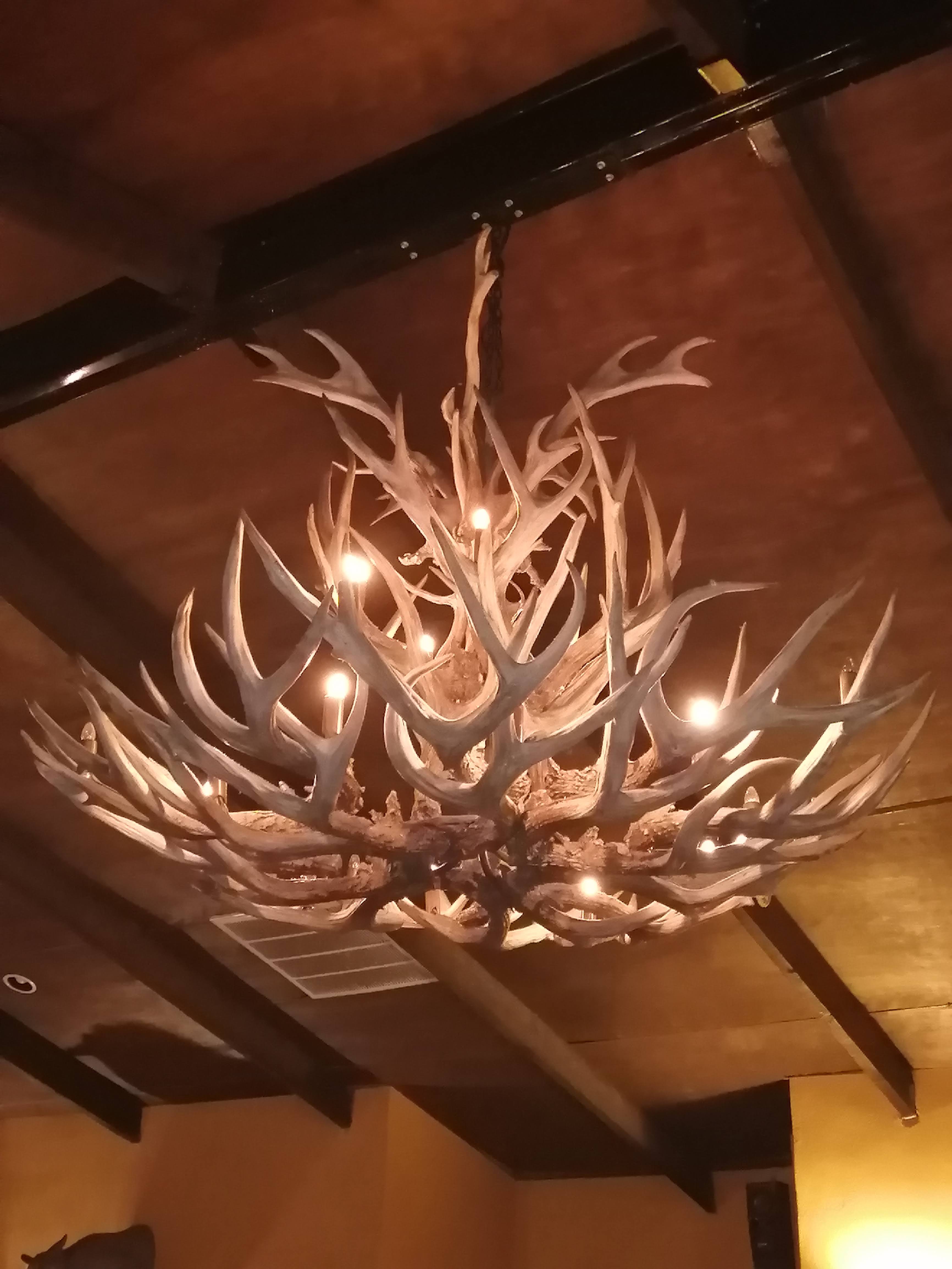 El Jacal Restaurante image 9