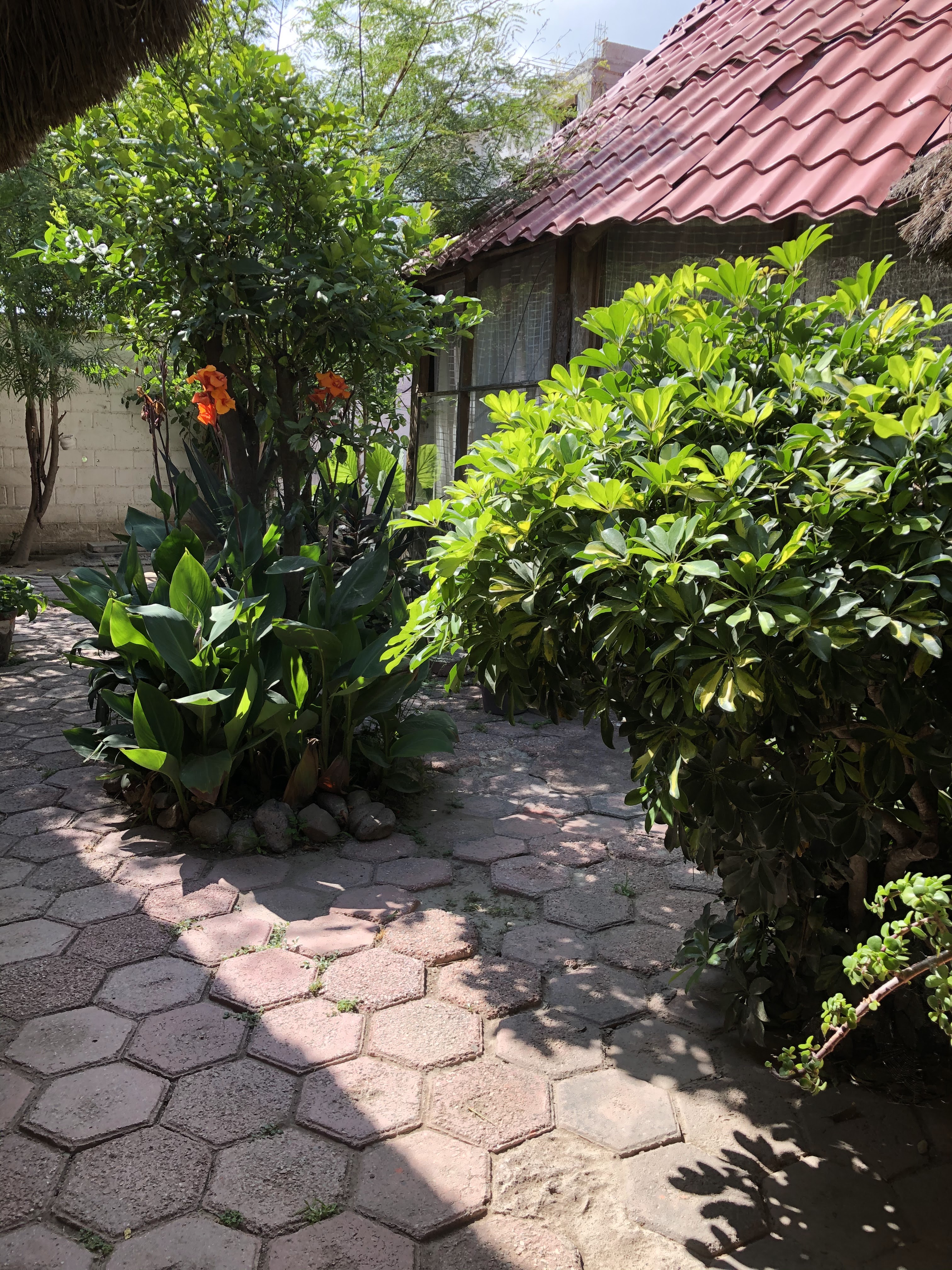 "La Huastequita Buffet" image 10