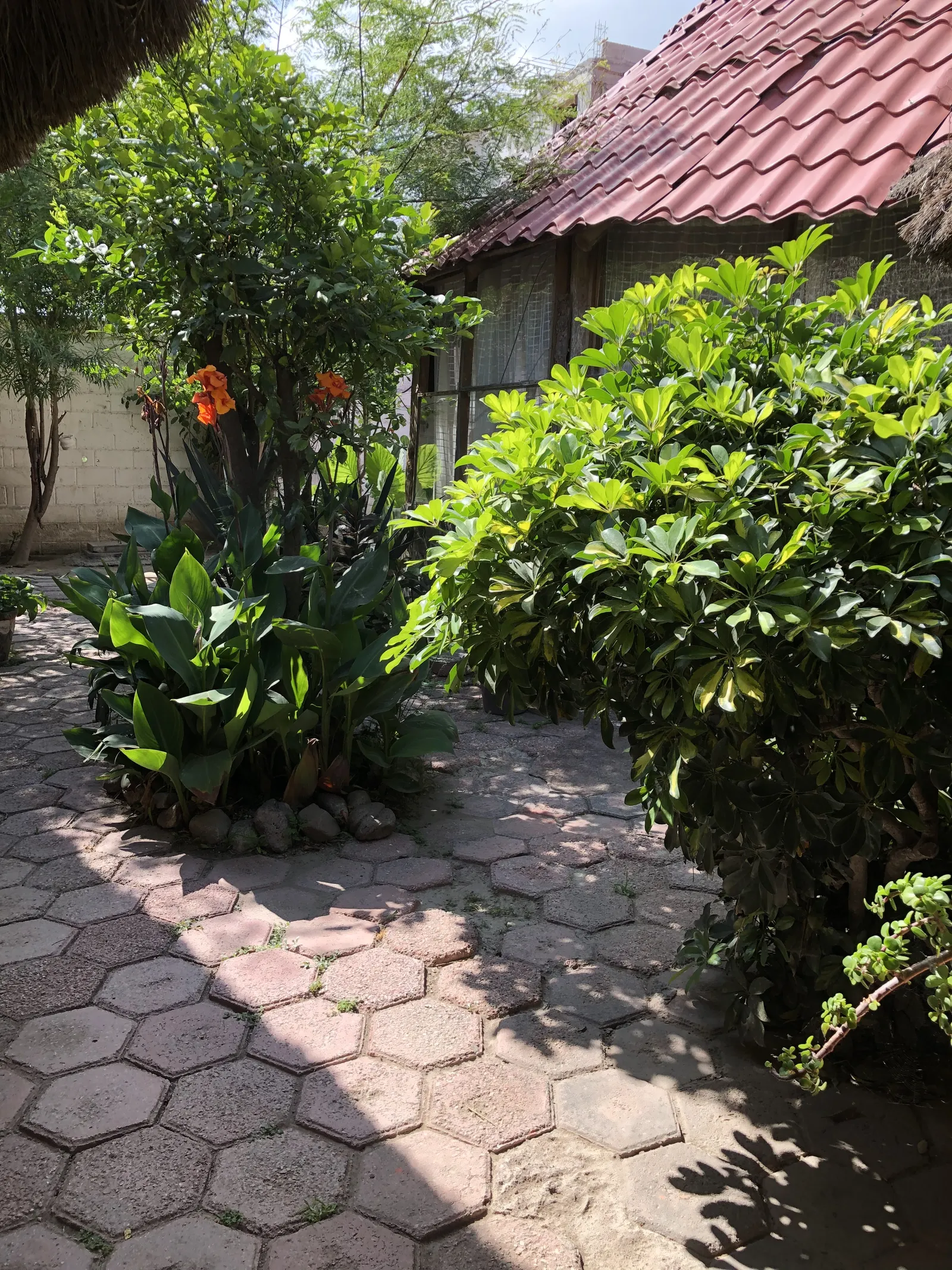 "La Huastequita Buffet" image 10
