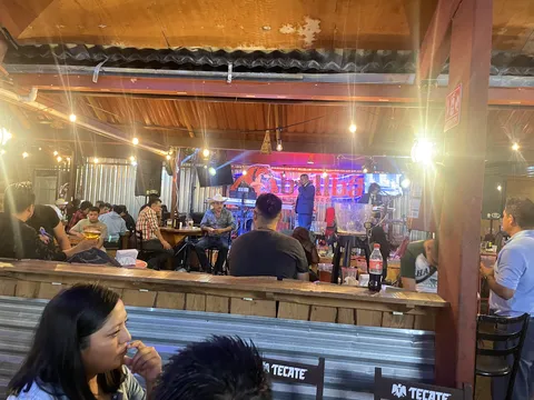 Bull Bar image 1