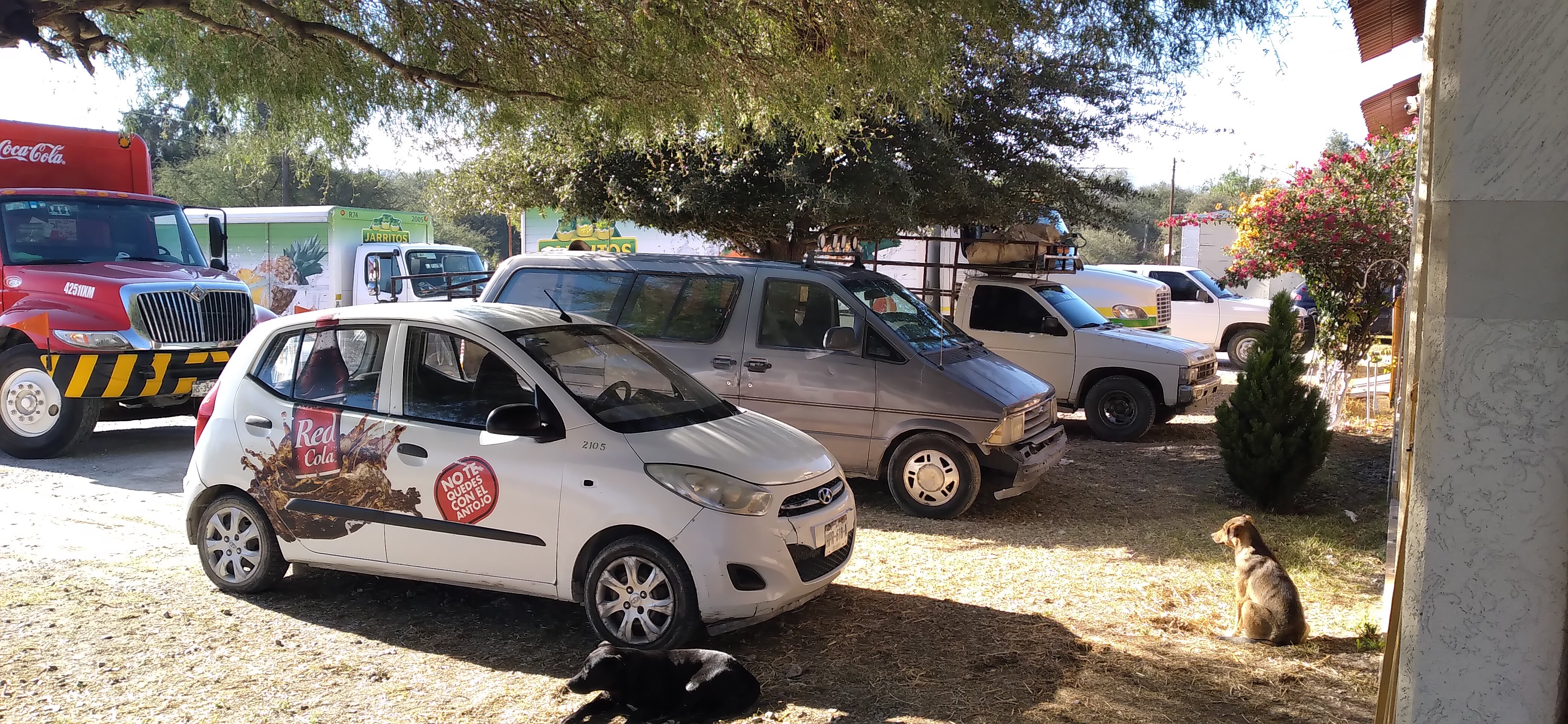 Restaurante los Cheff image 9