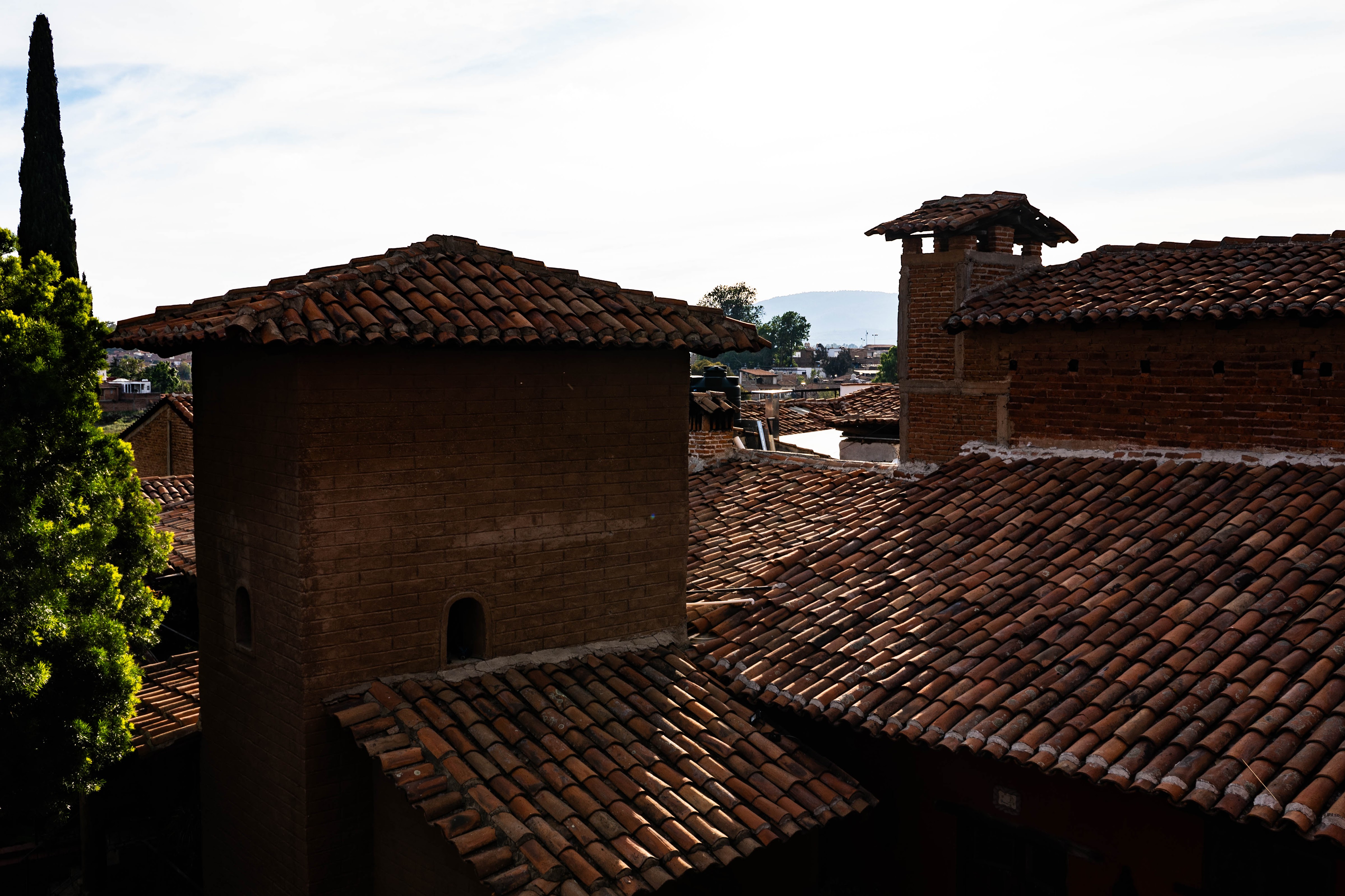 El Mesón de Los Encinos image 5