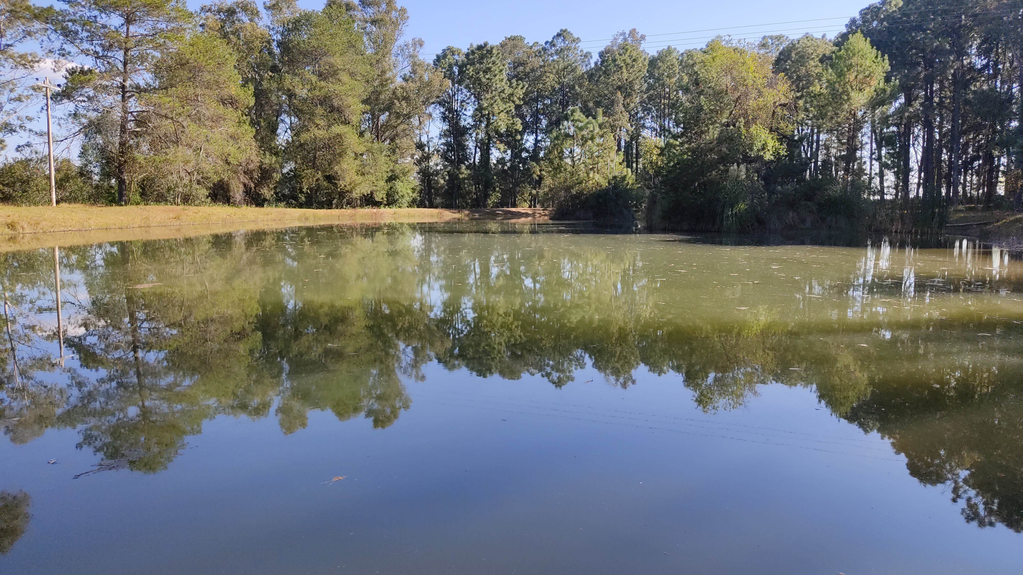 EL VERGEL Restarant Bar Campestre FAMILIAR image 4