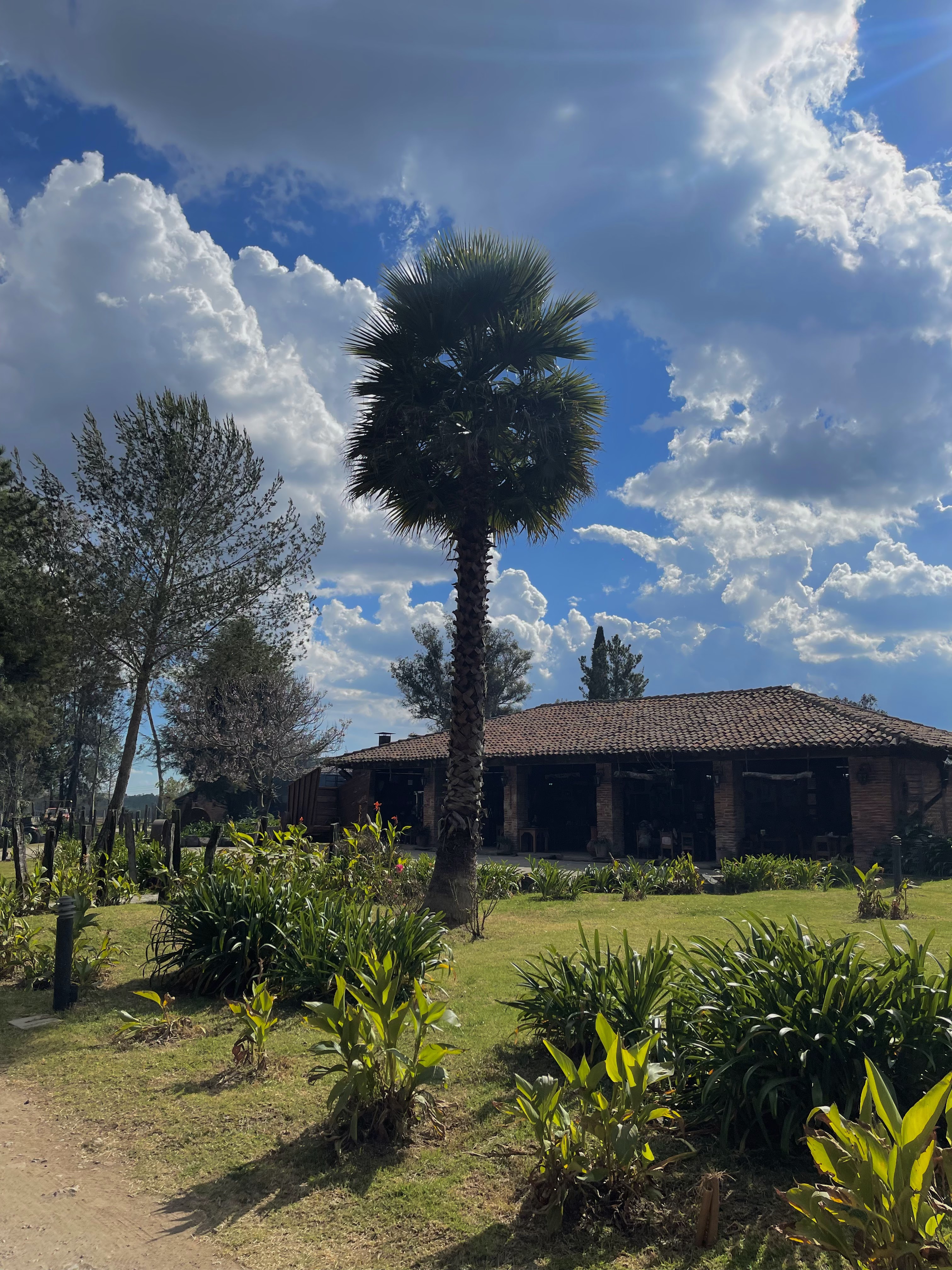 EL VERGEL Restarant Bar Campestre FAMILIAR image 8