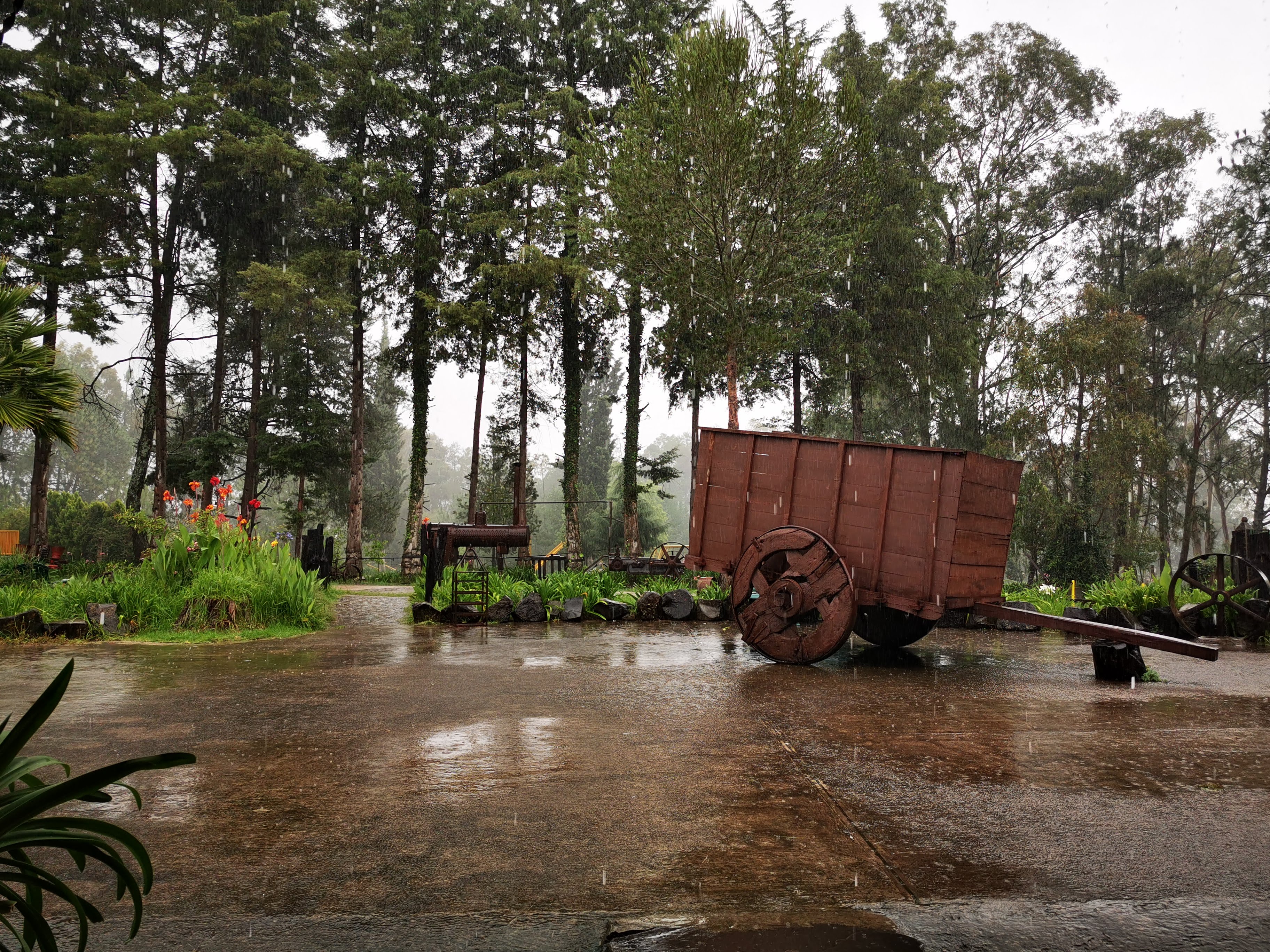 EL VERGEL Restarant Bar Campestre FAMILIAR image 9