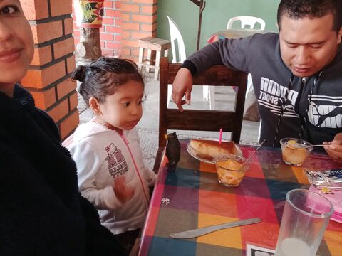 Restaurant Los Sagitarios image 7