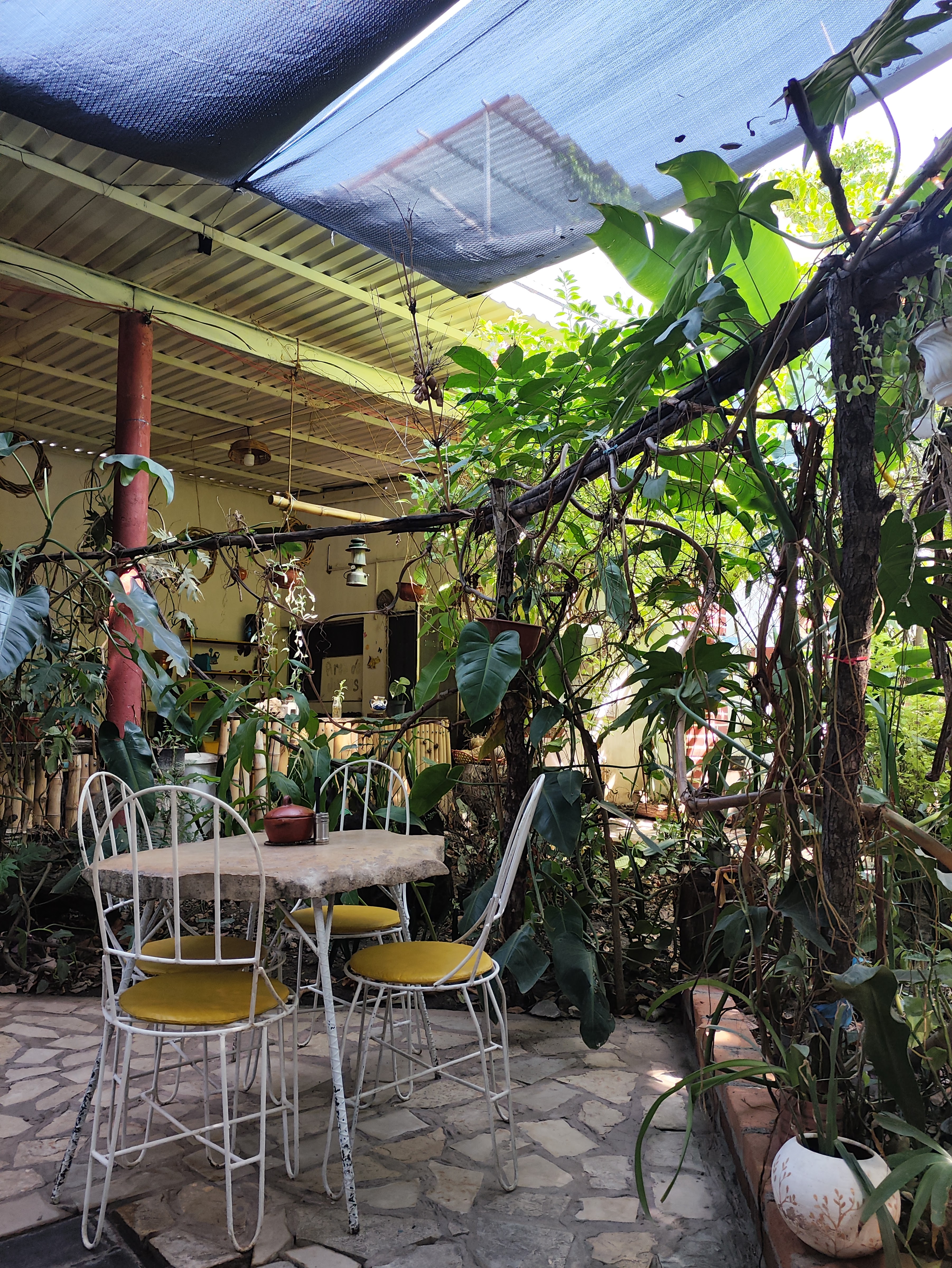 Mi Ranchito, restaurante image 6