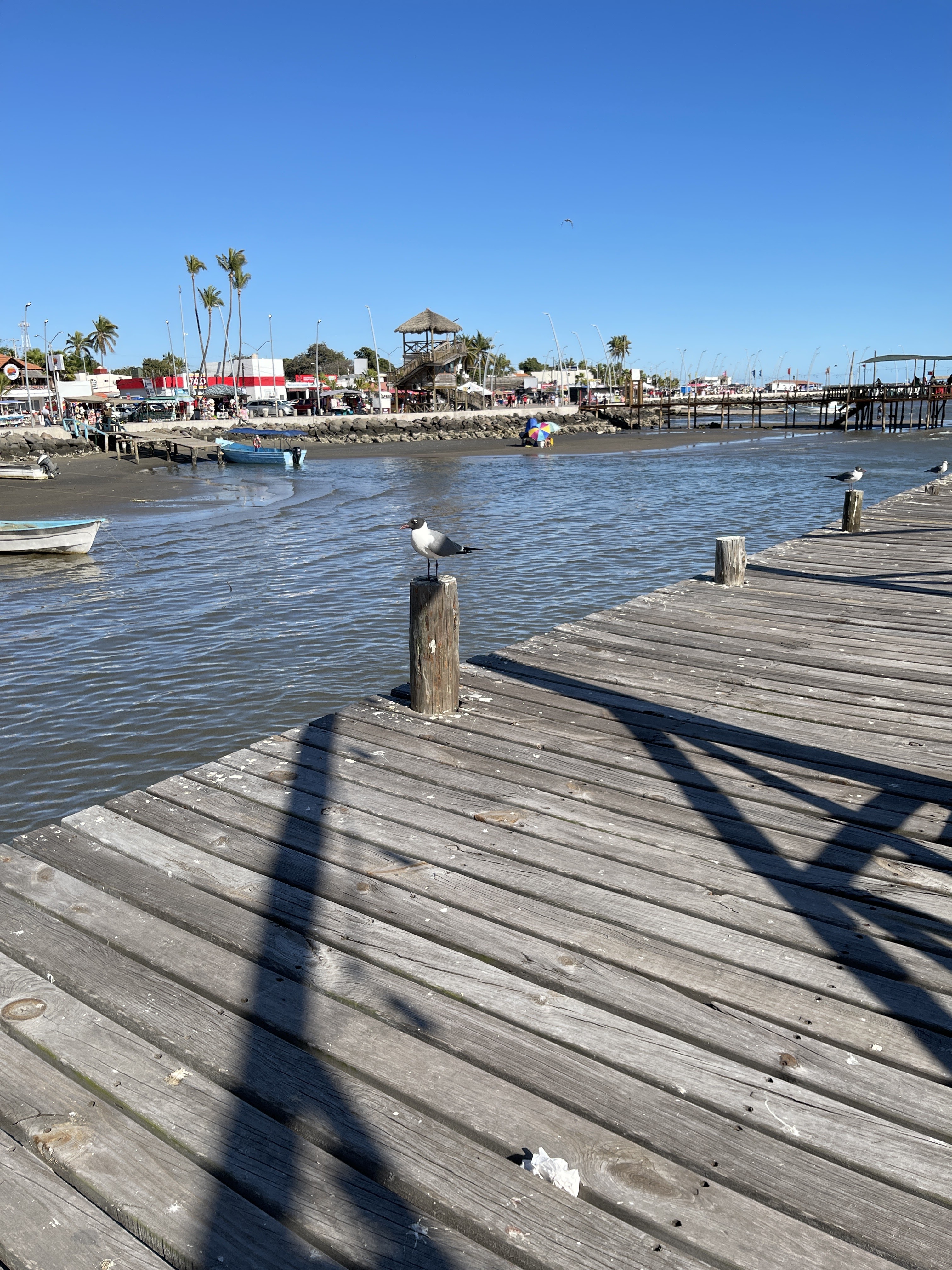 Restaurante Altata Bay image 3