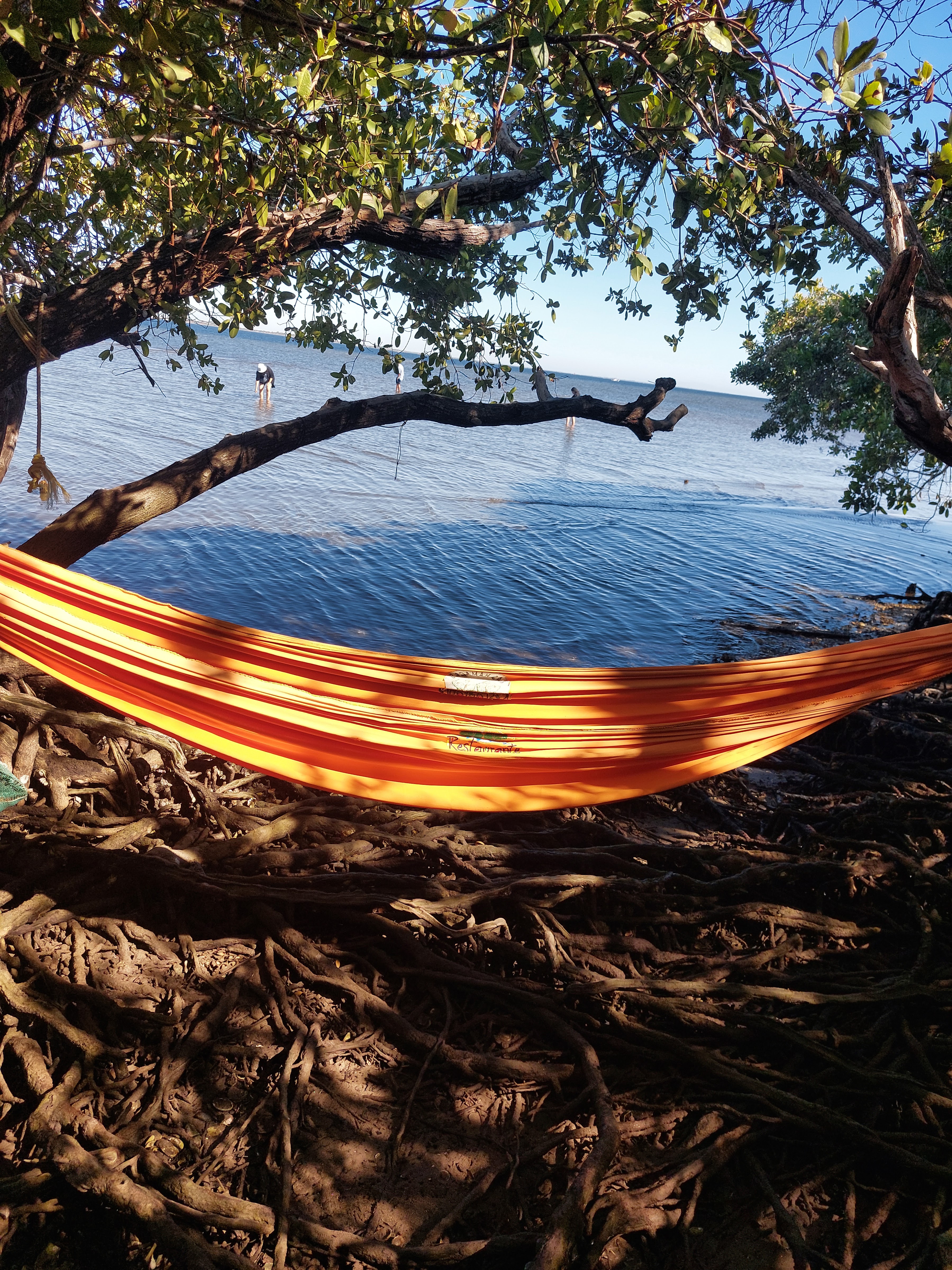 Restaurante Las Hamacas image 4