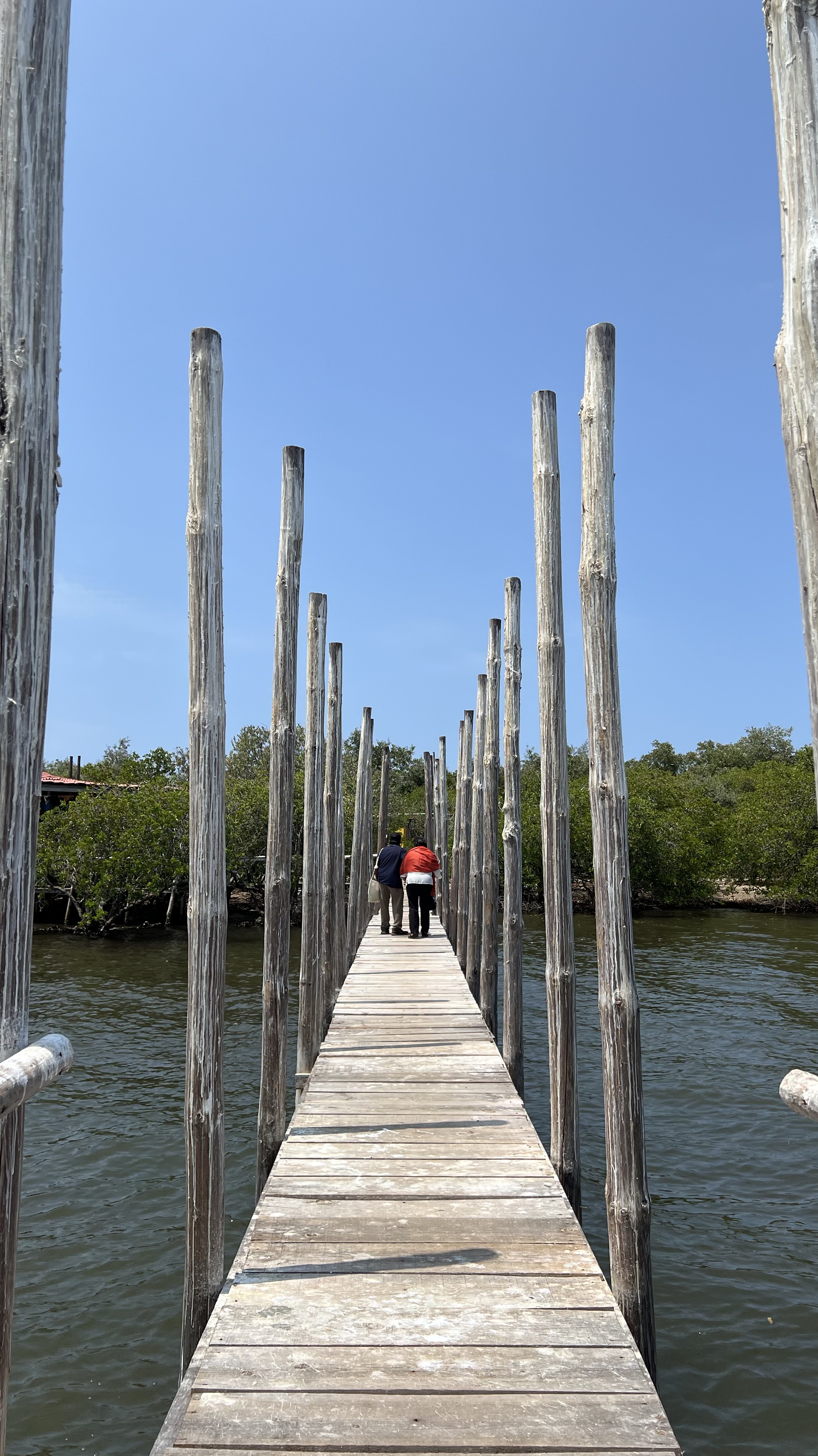 Restaurante Las Hamacas image 6