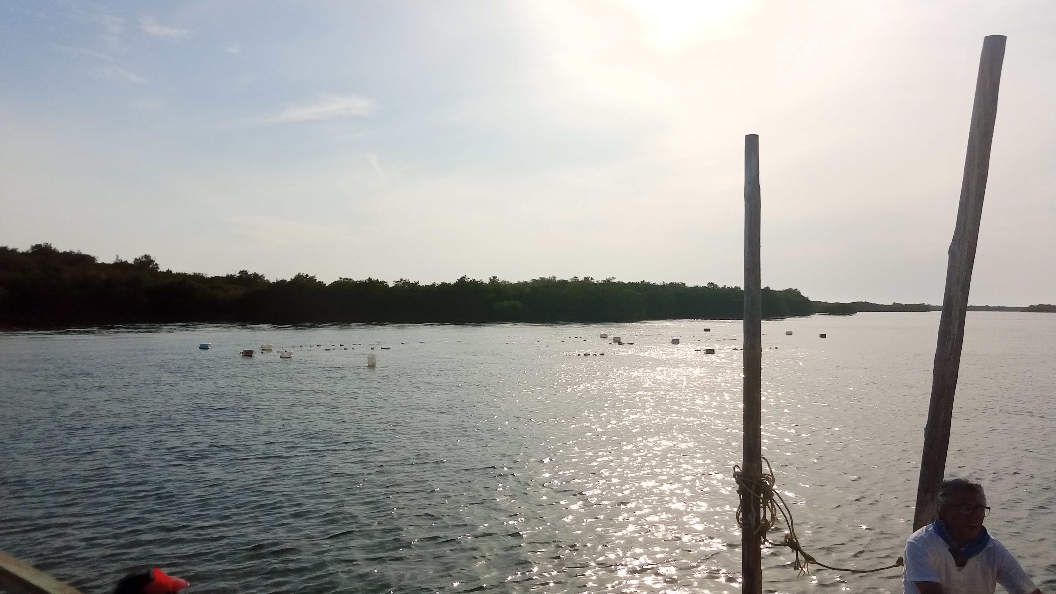 Restaurante Las Hamacas image 9