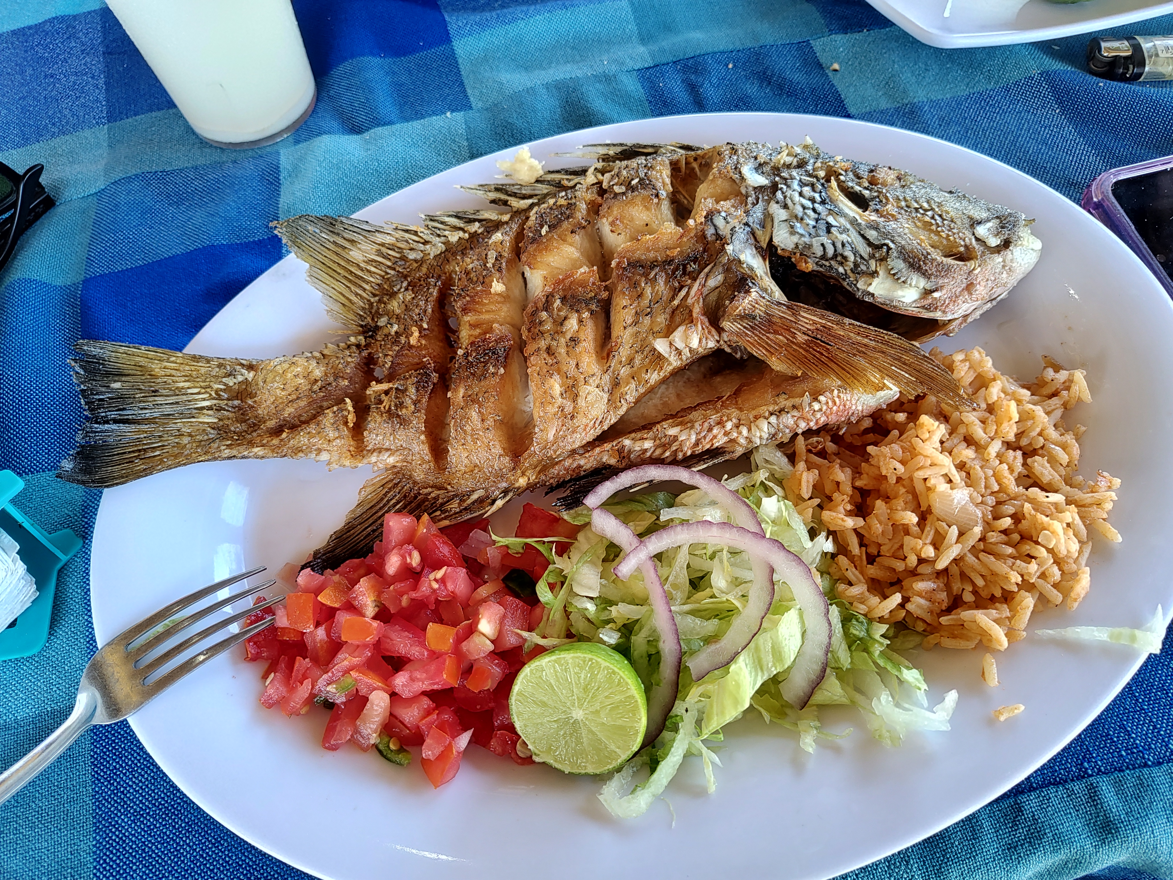 Restaurant El Estero image 2