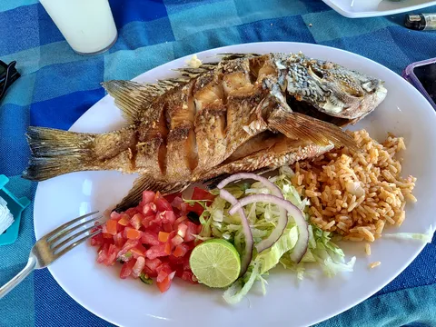 Restaurant El Estero image 2