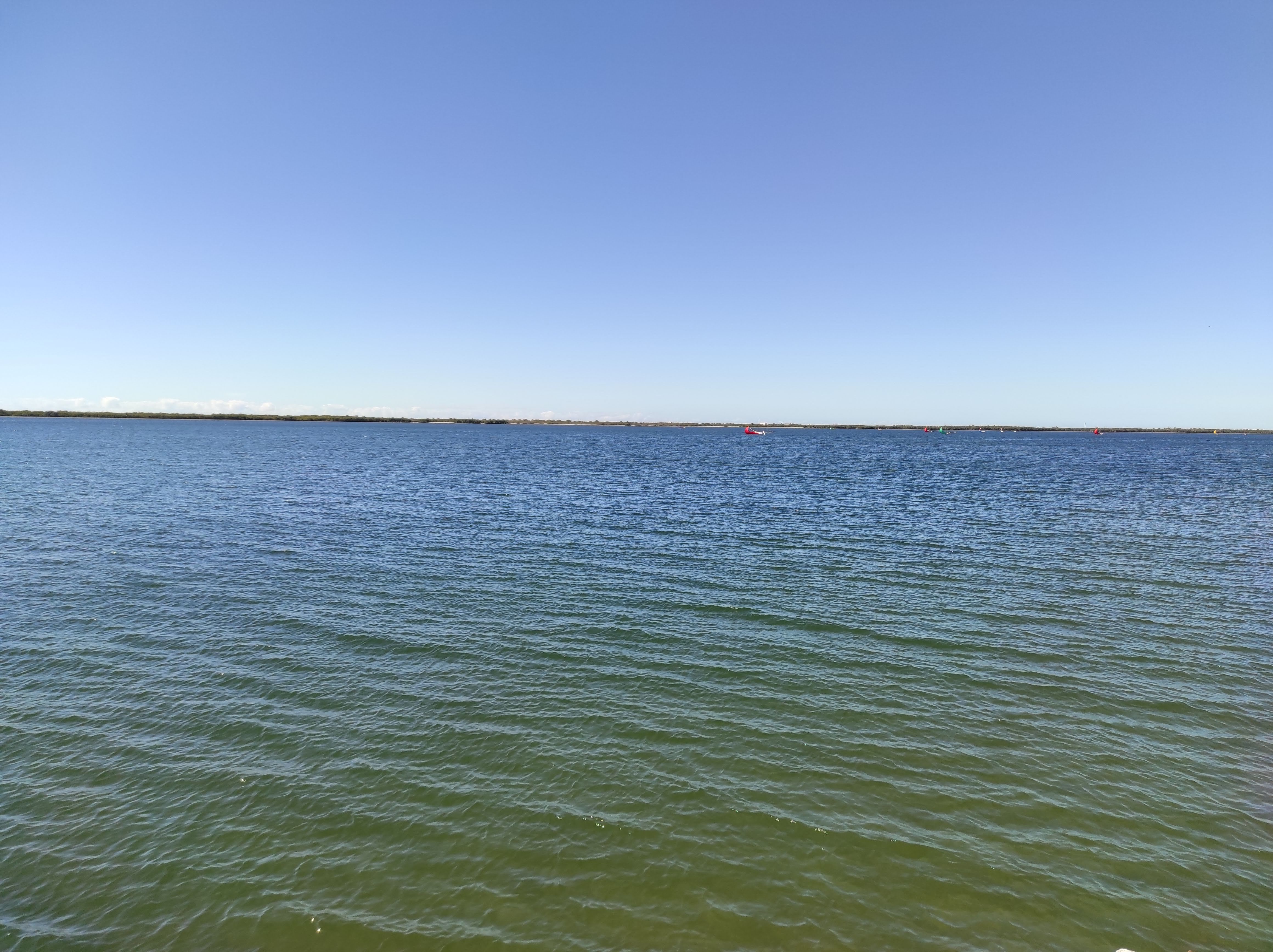 Restaurant El Estero image 10