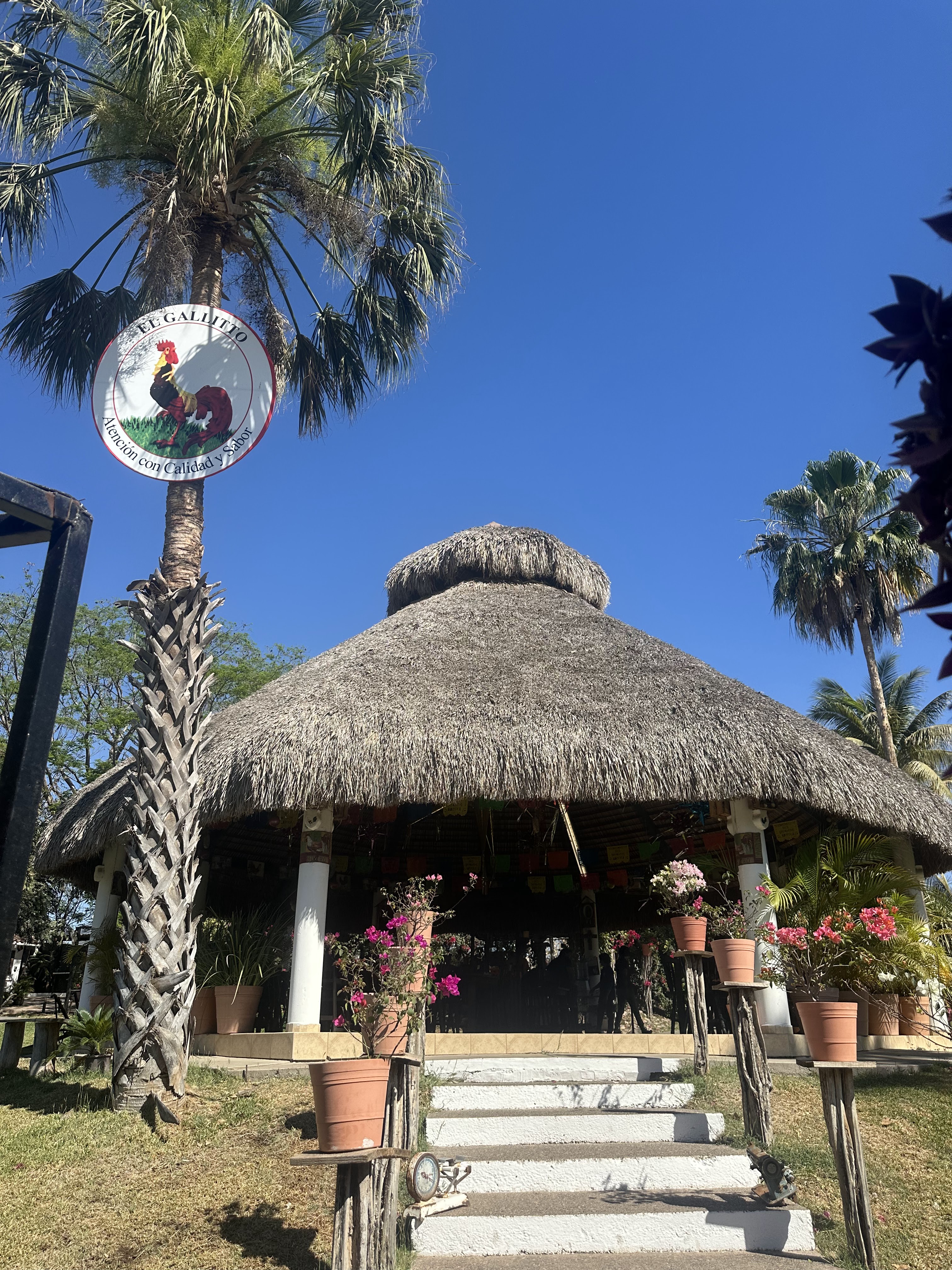 El Gallito Restaurante Suc. Costerita image 5