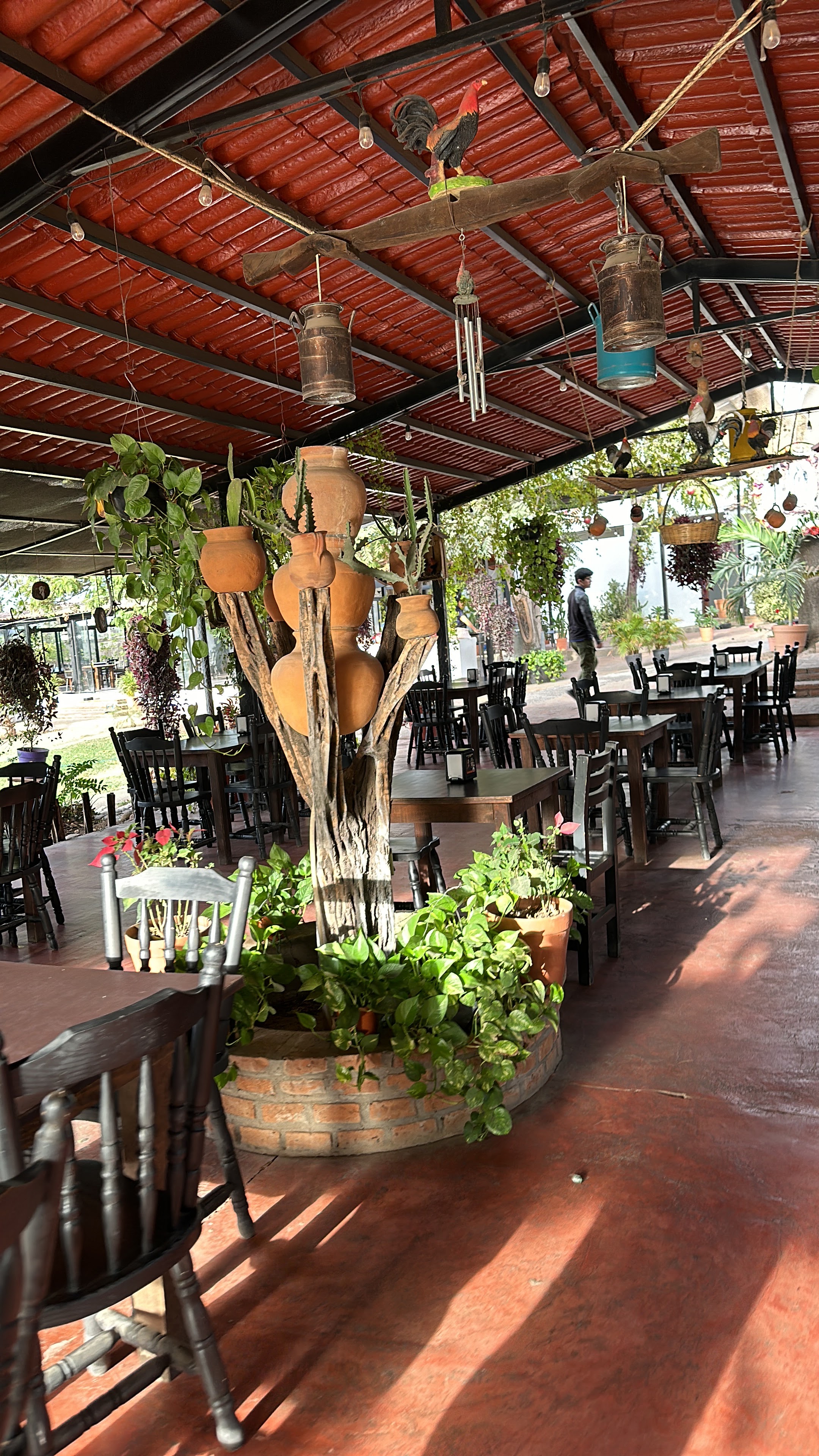 El Gallito Restaurante Suc. Costerita image 6