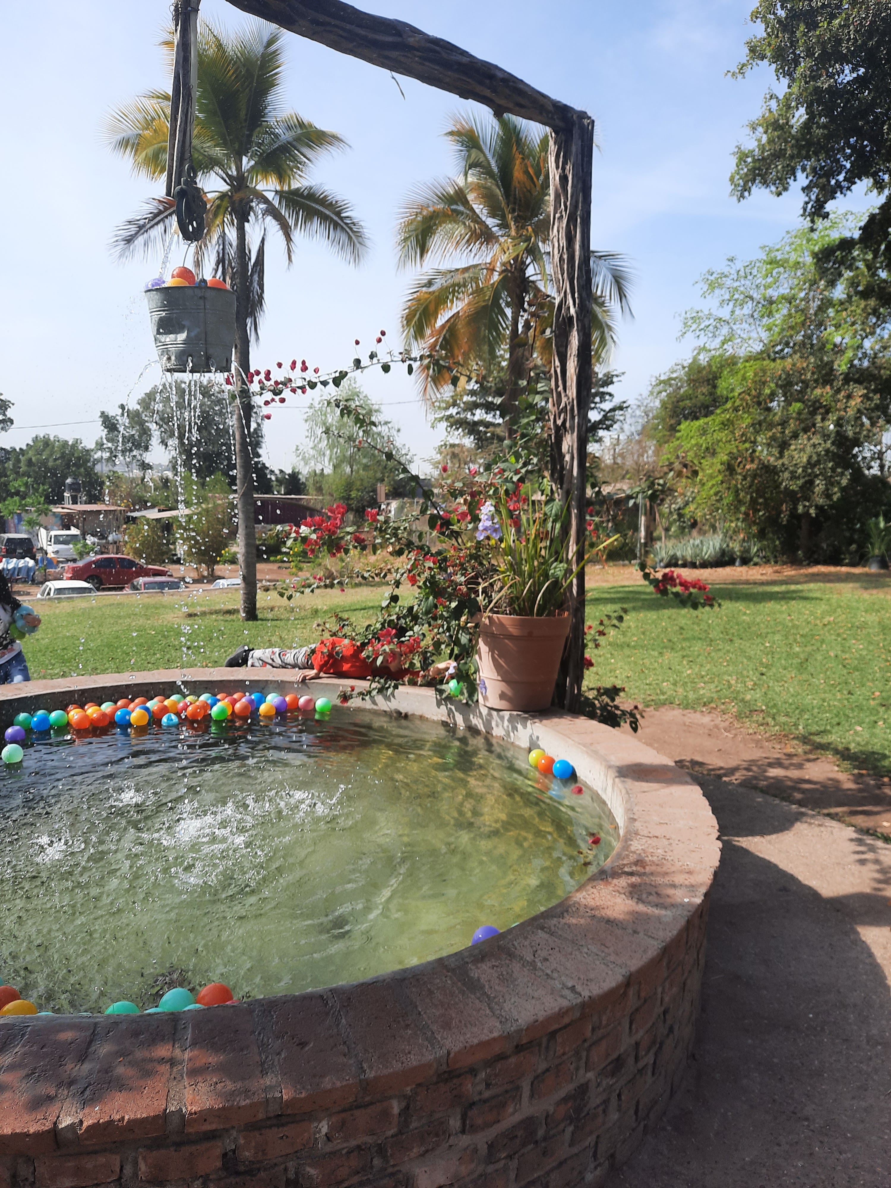 El Gallito Restaurante Suc. Costerita image 8