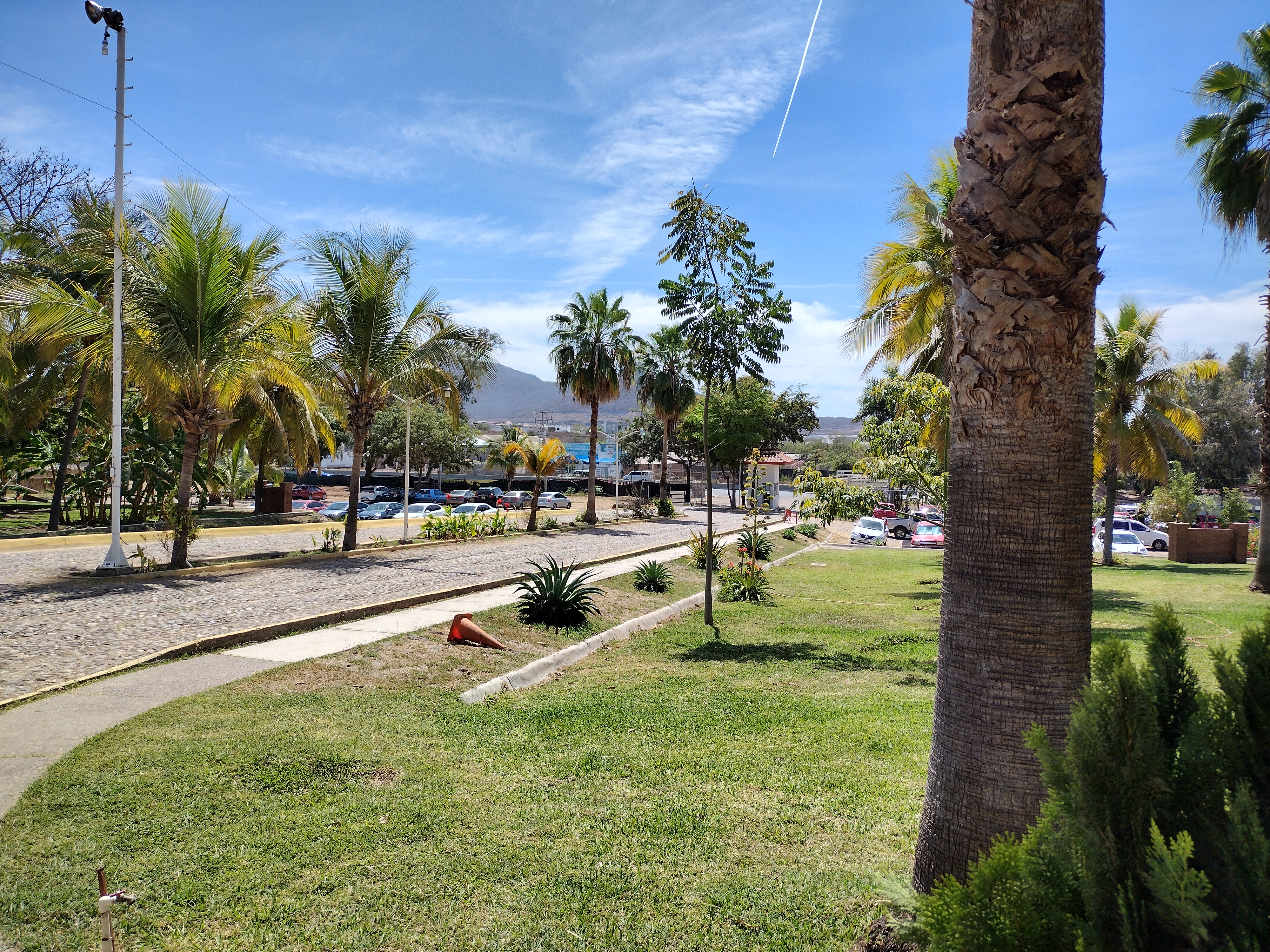 El Gallito Restaurante Suc. Costerita image 9