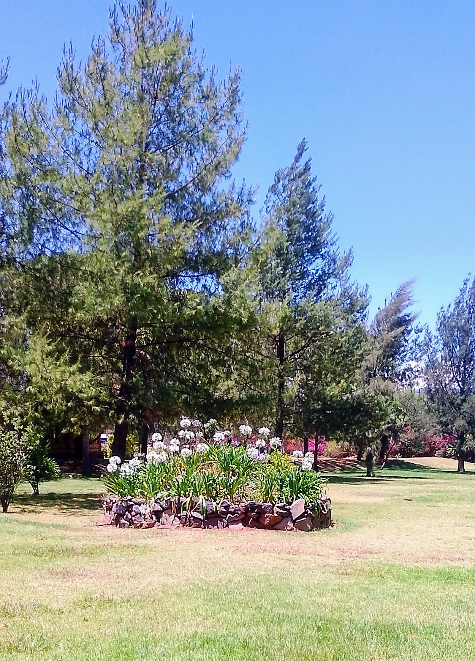 Asador Campestre image 3