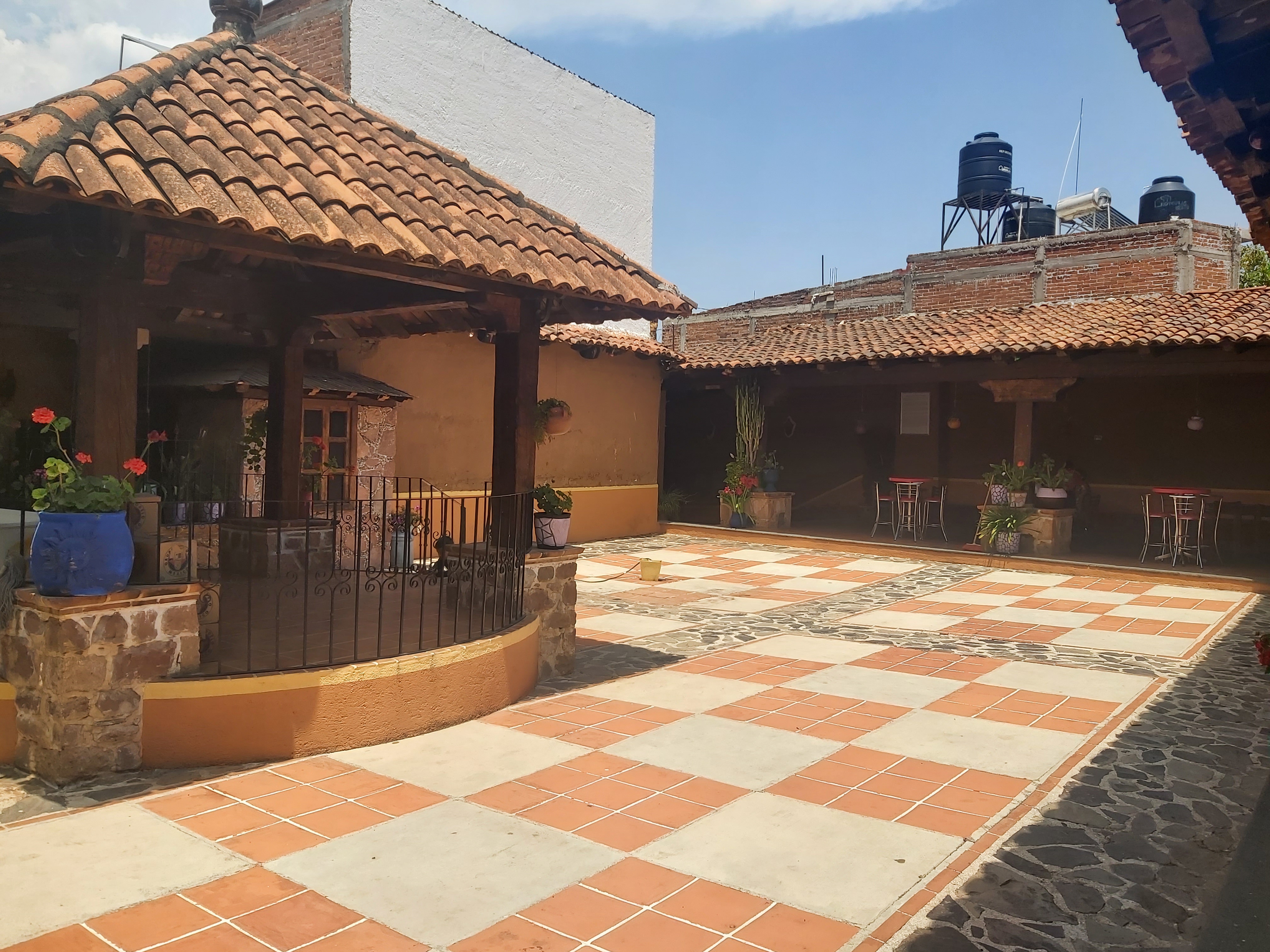 𝐃𝐫𝐚𝐠𝐨𝐧 𝐖𝐢𝐧𝐠𝐬 𝐓𝐬𝐢𝐩𝐢𝐤𝐮𝐚 image 3