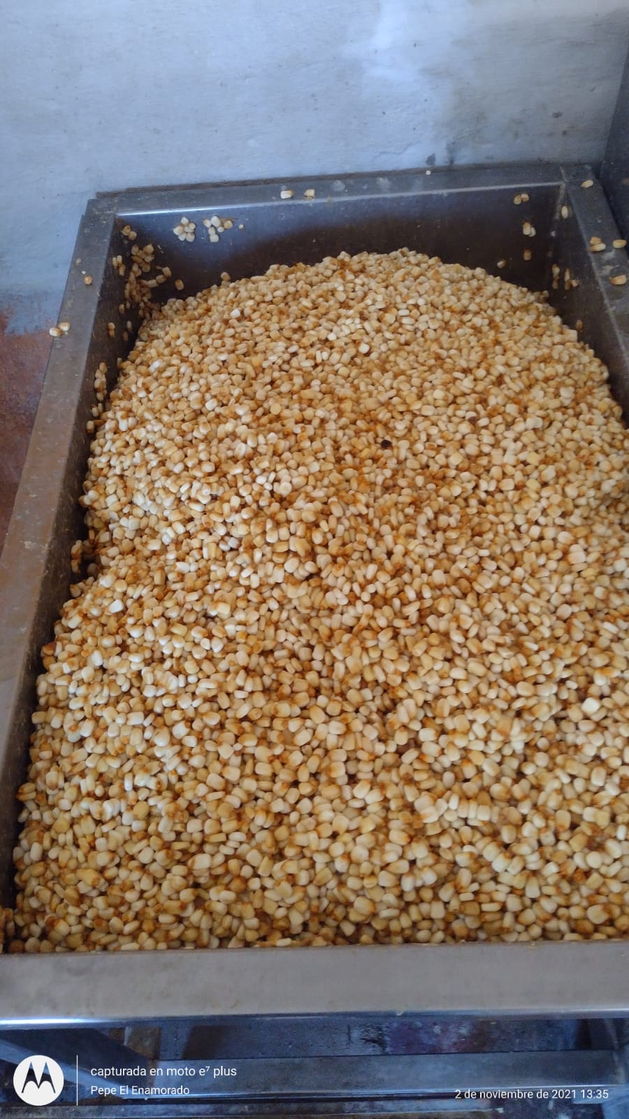 Tortillerias él aguila image 1