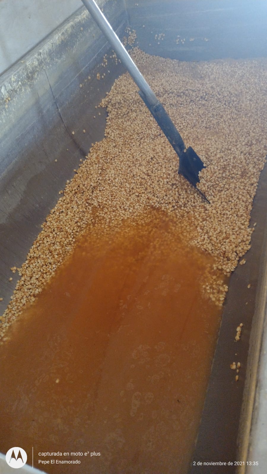 Tortillerias él aguila image 5