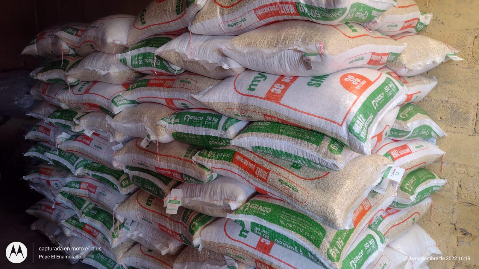 Tortillerias él aguila image 7