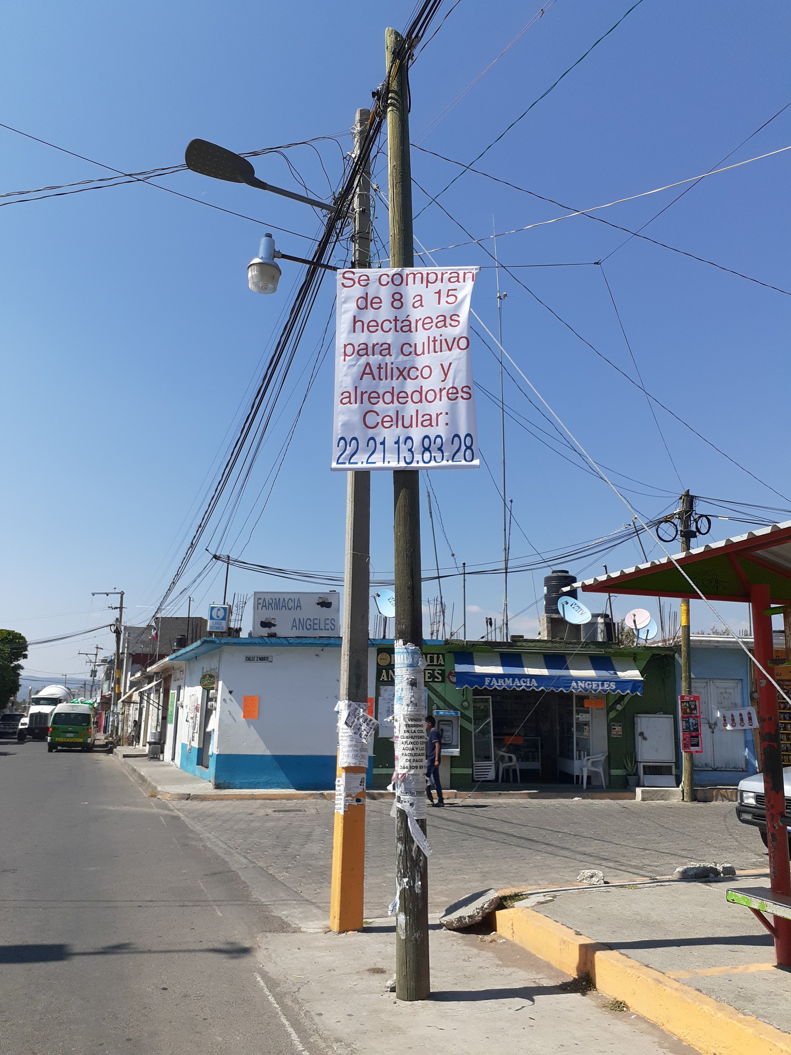 Pizzeria Linos image 1