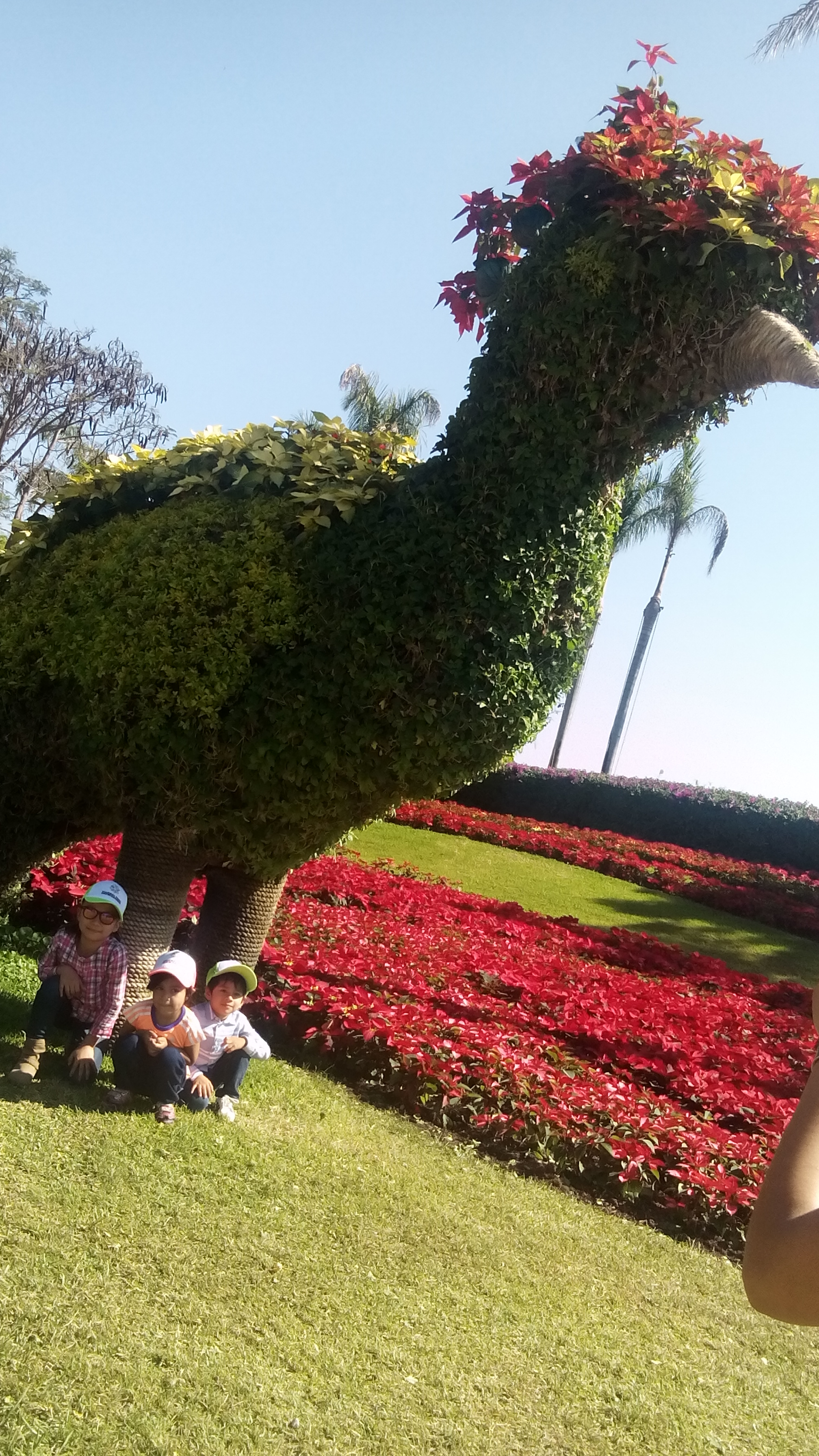 Restaurante de Mariscos EL Tiburón image 3