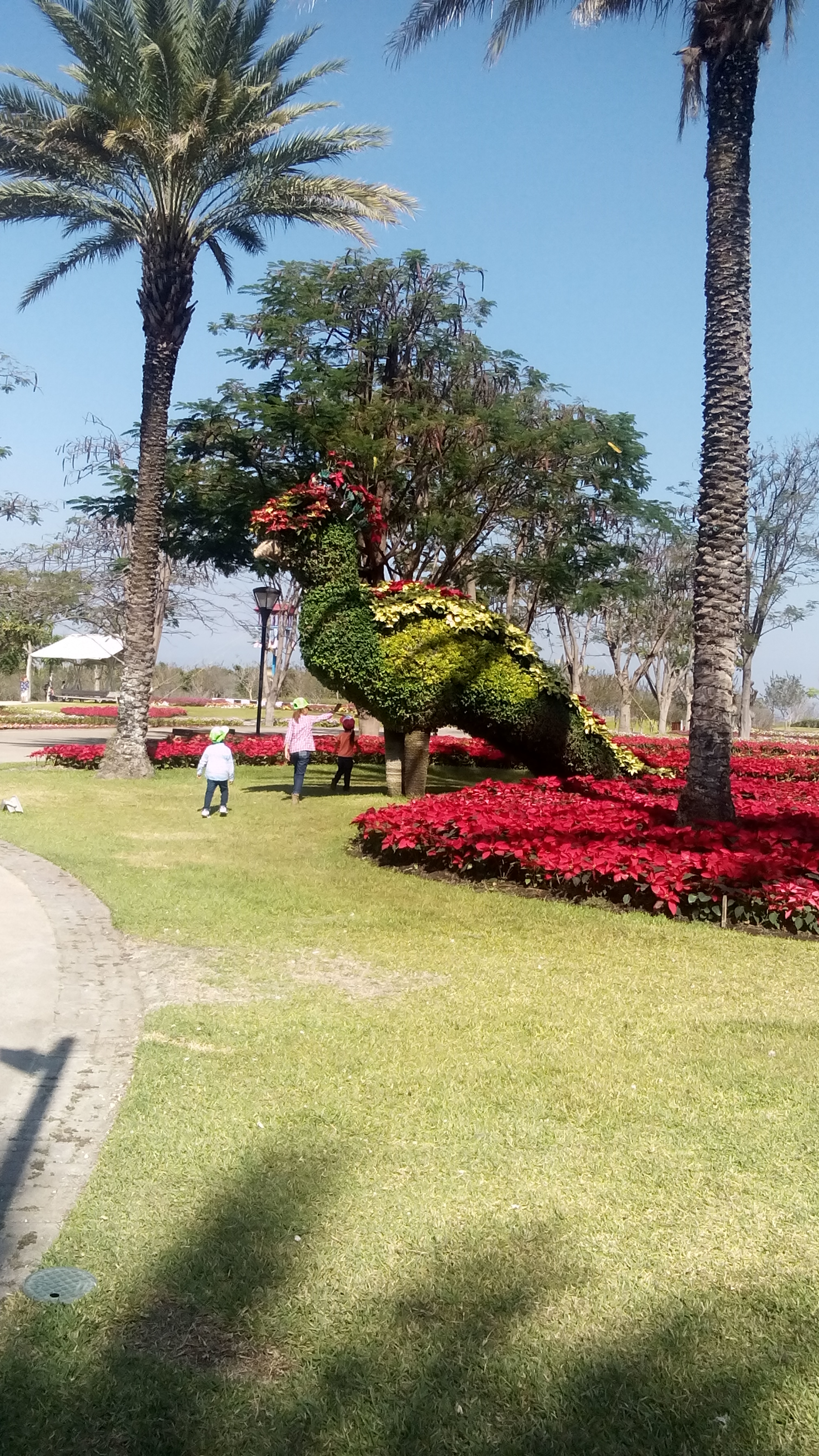 Restaurante de Mariscos EL Tiburón image 4