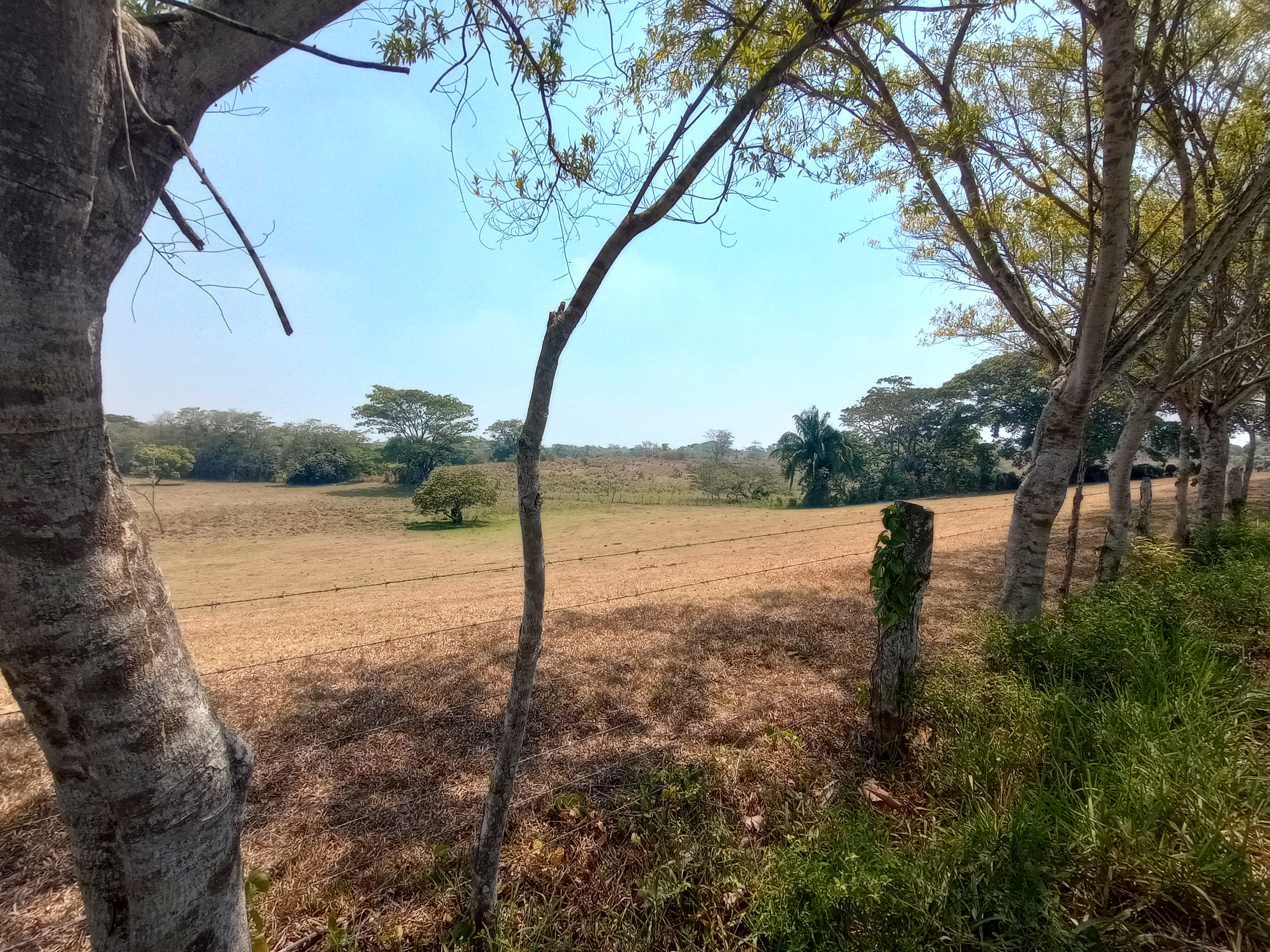 Restaurante Dos Montes image 2