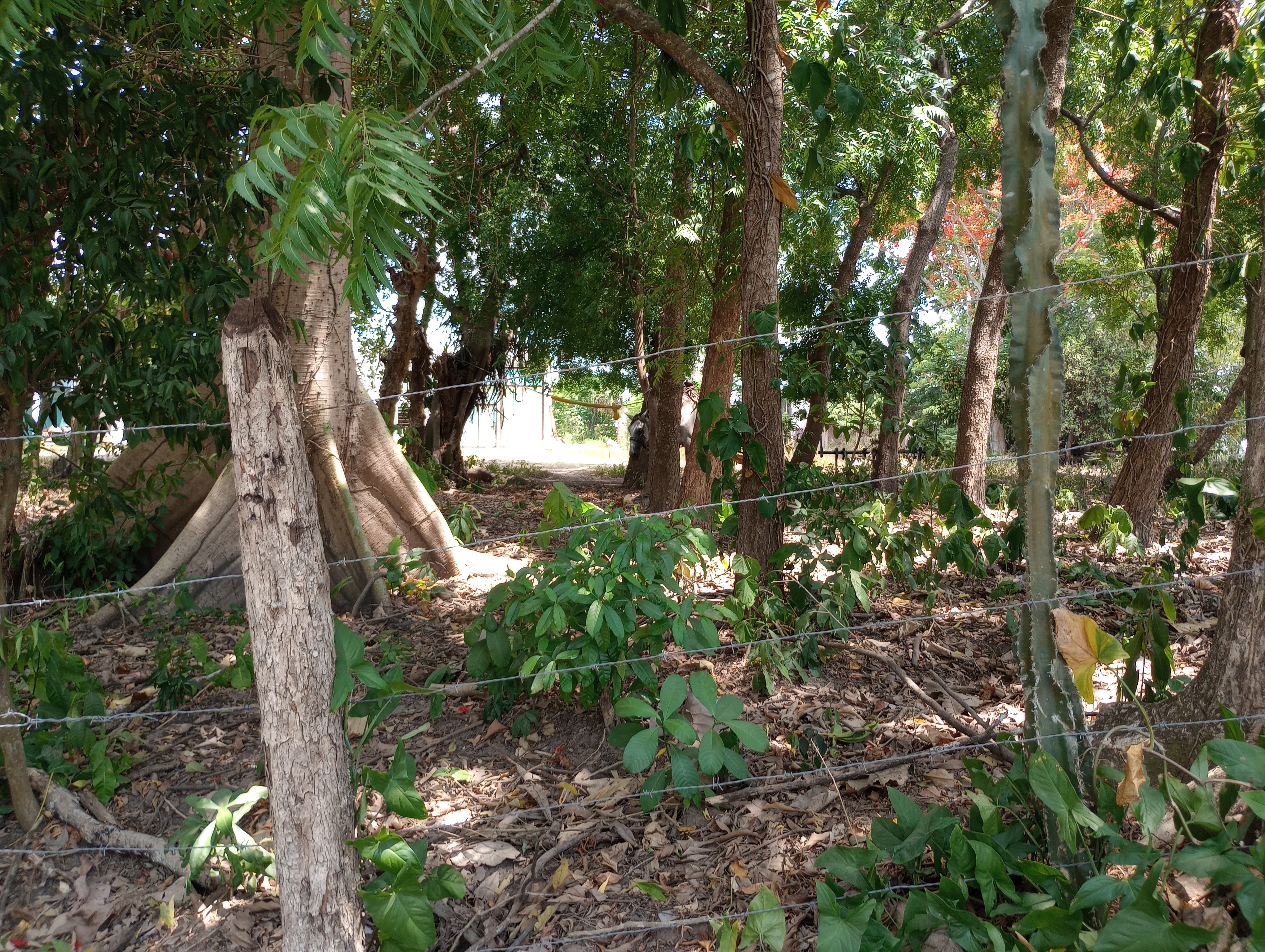 Restaurante Dos Montes image 3