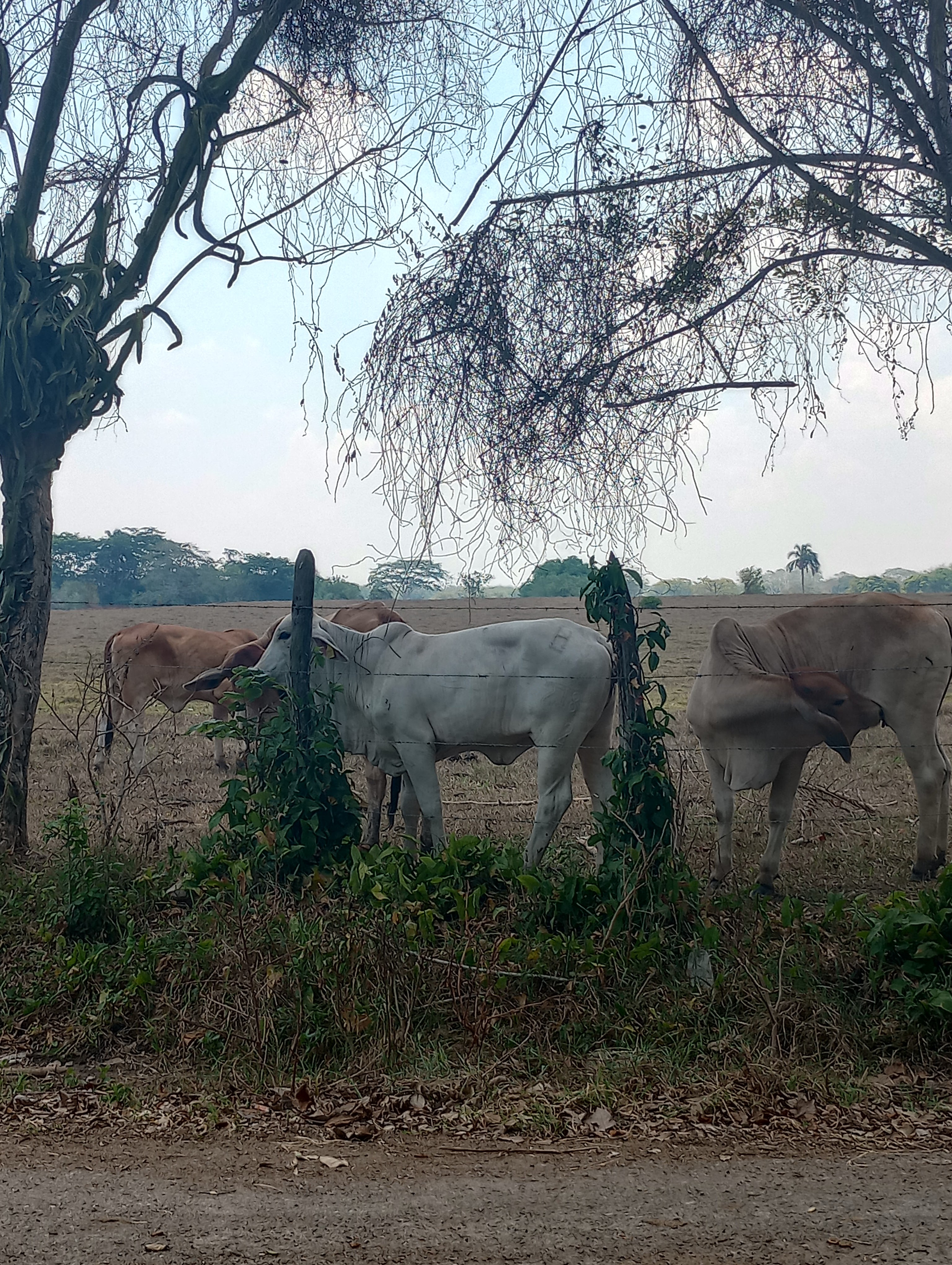 Restaurante Dos Montes image 4