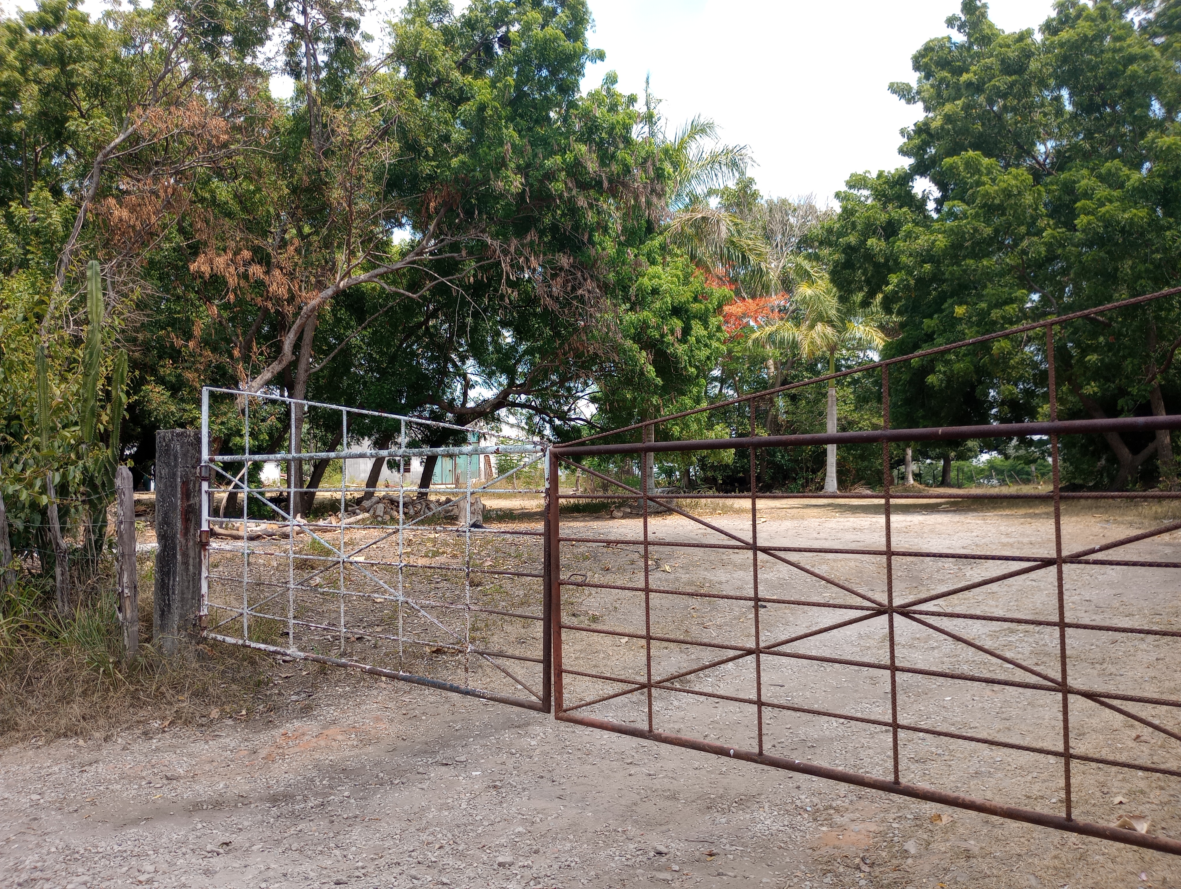 Restaurante Dos Montes image 7