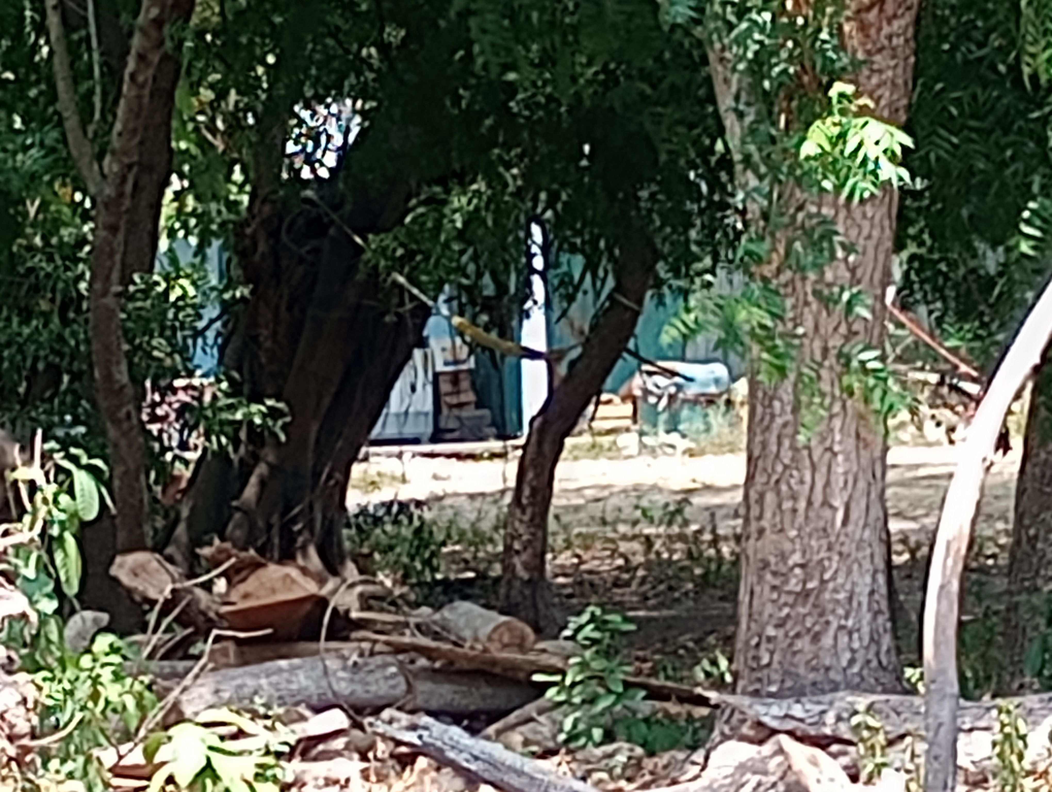 Restaurante Dos Montes image 8