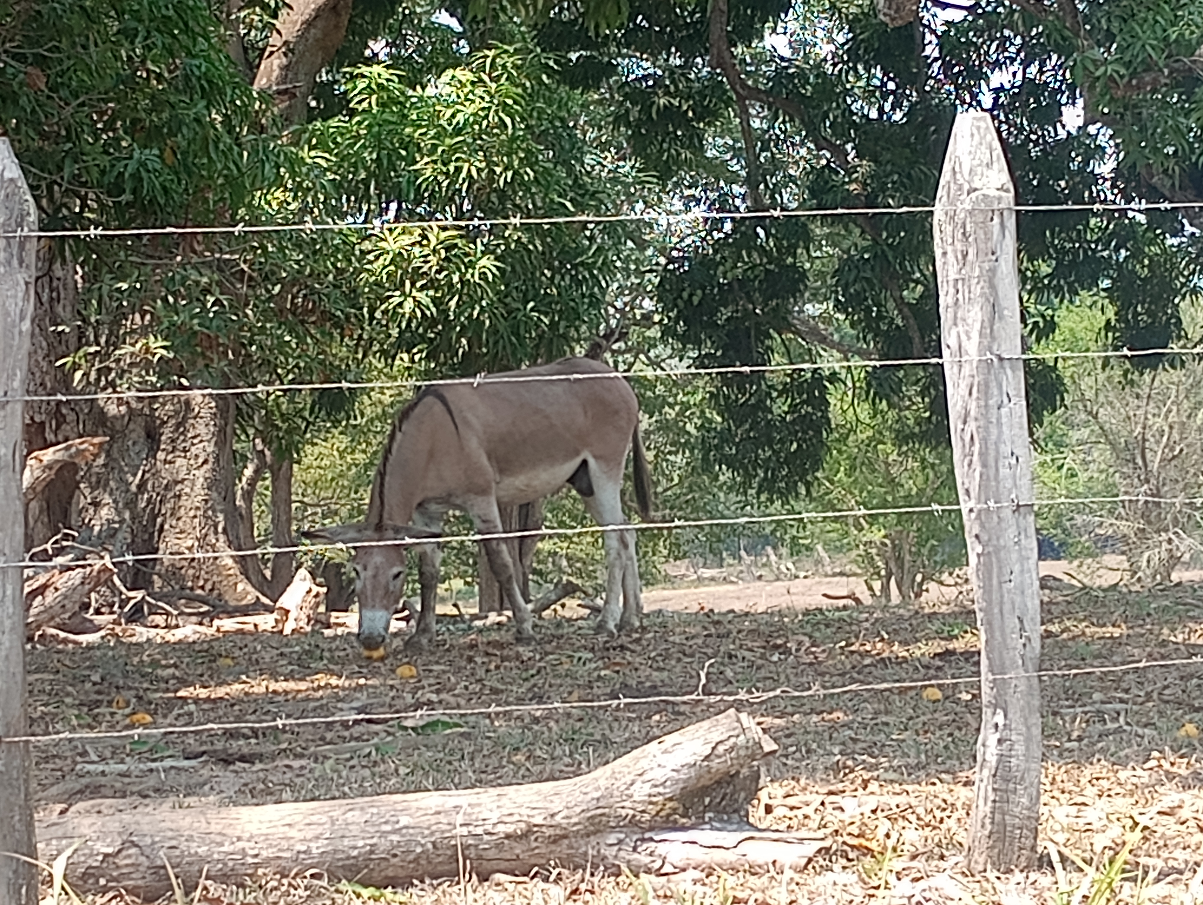 Restaurante Dos Montes image 9