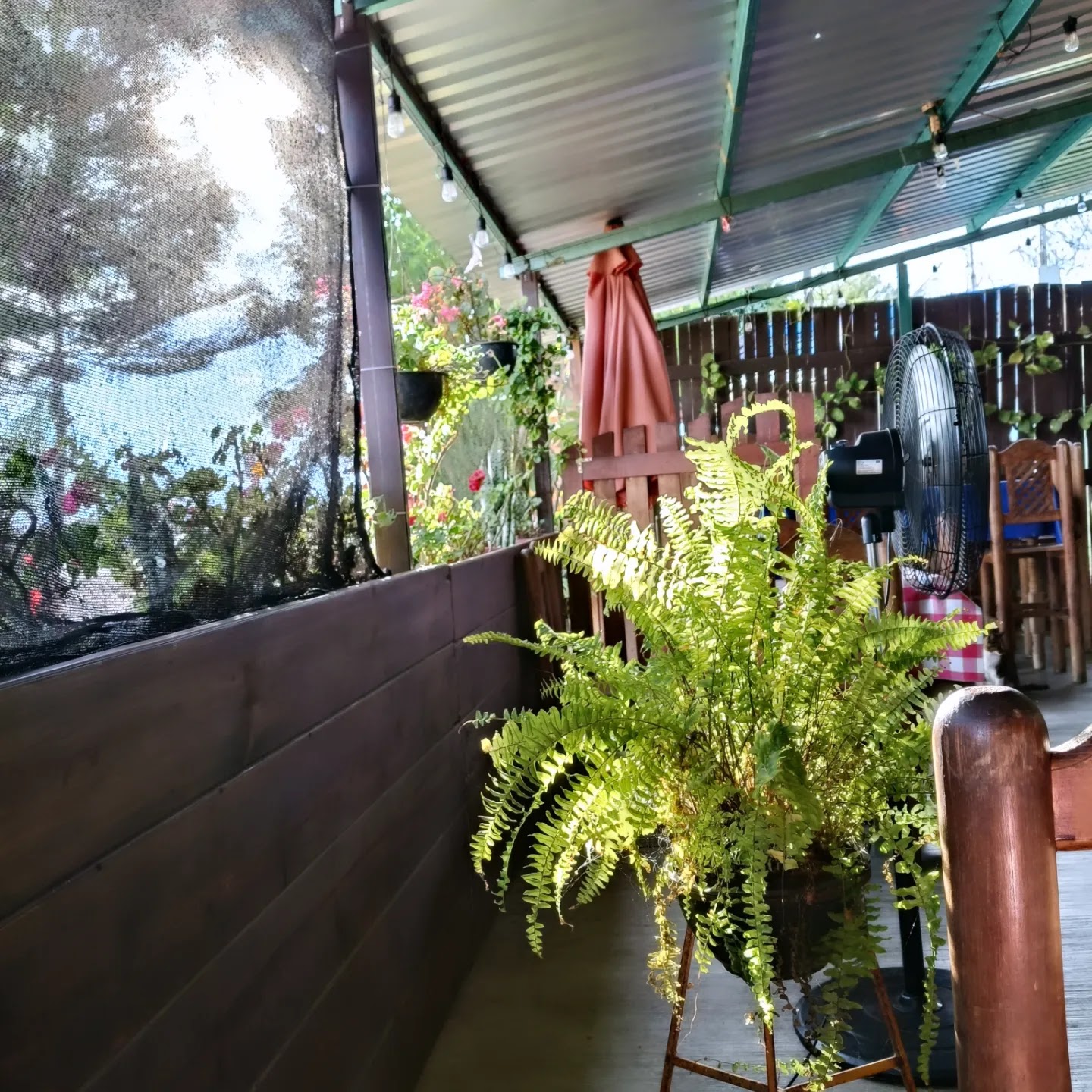 Mariscos La Cruda image 4