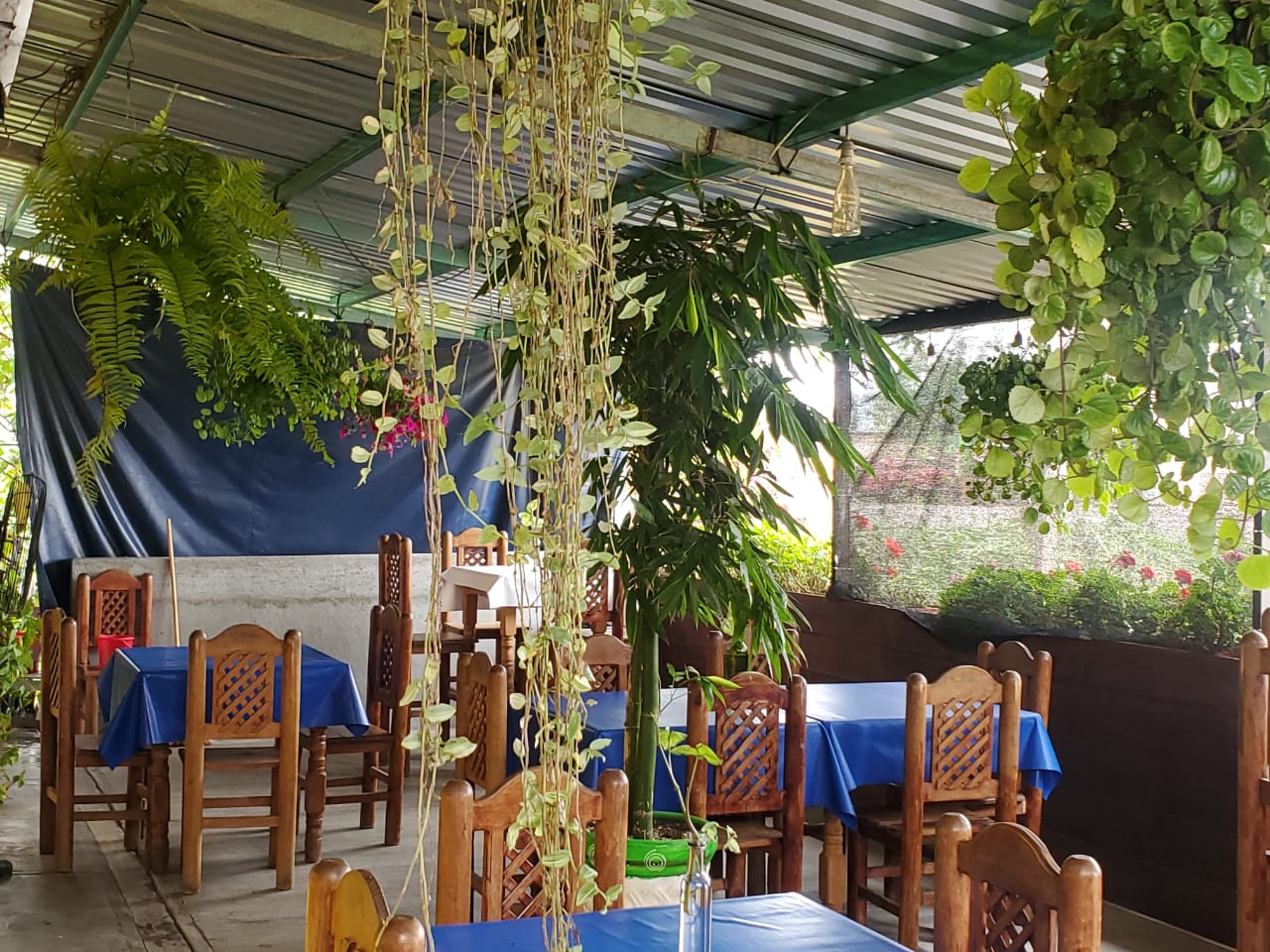 Mariscos La Cruda image 5