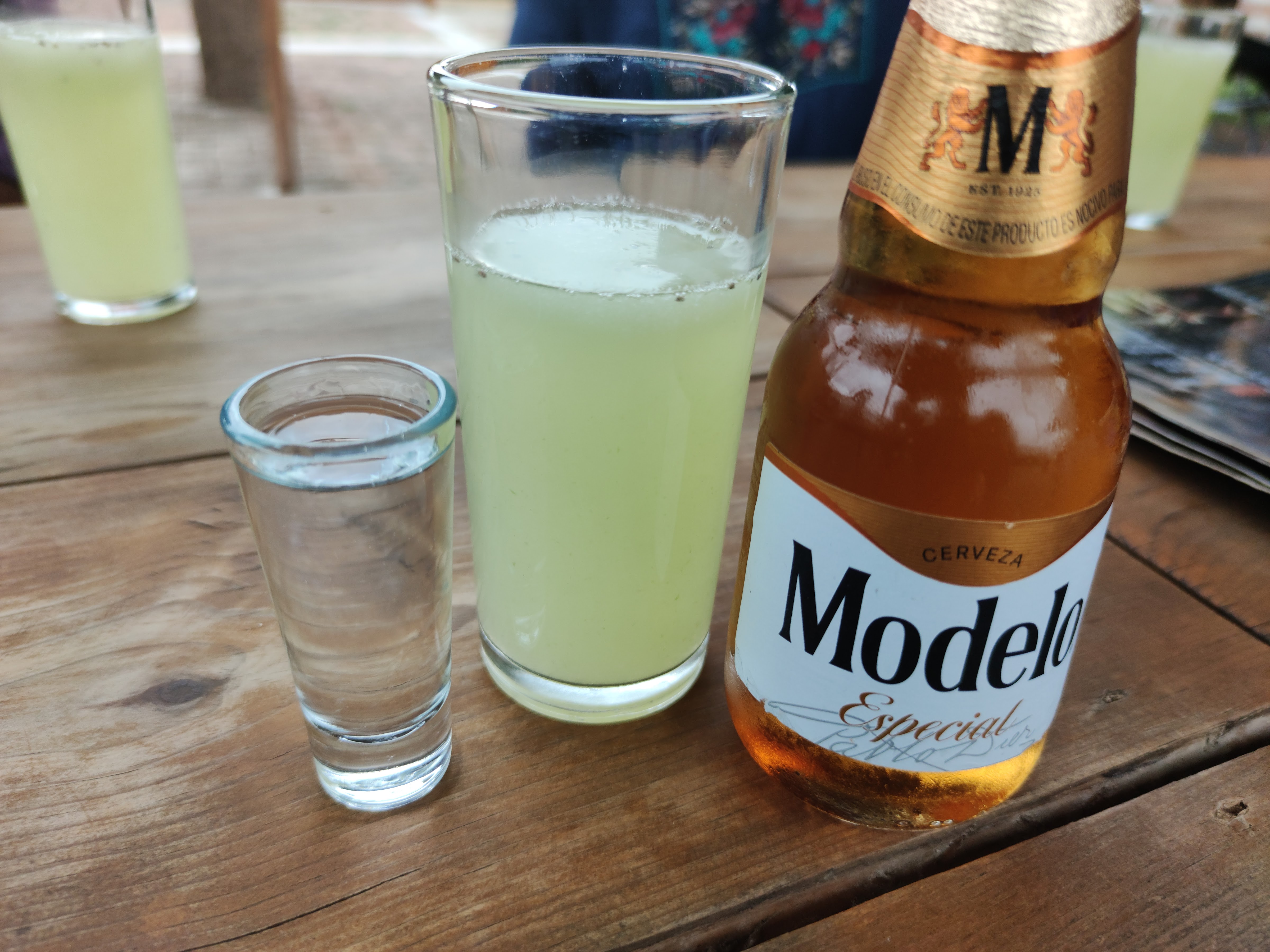 La Casa del Xolotl image 10