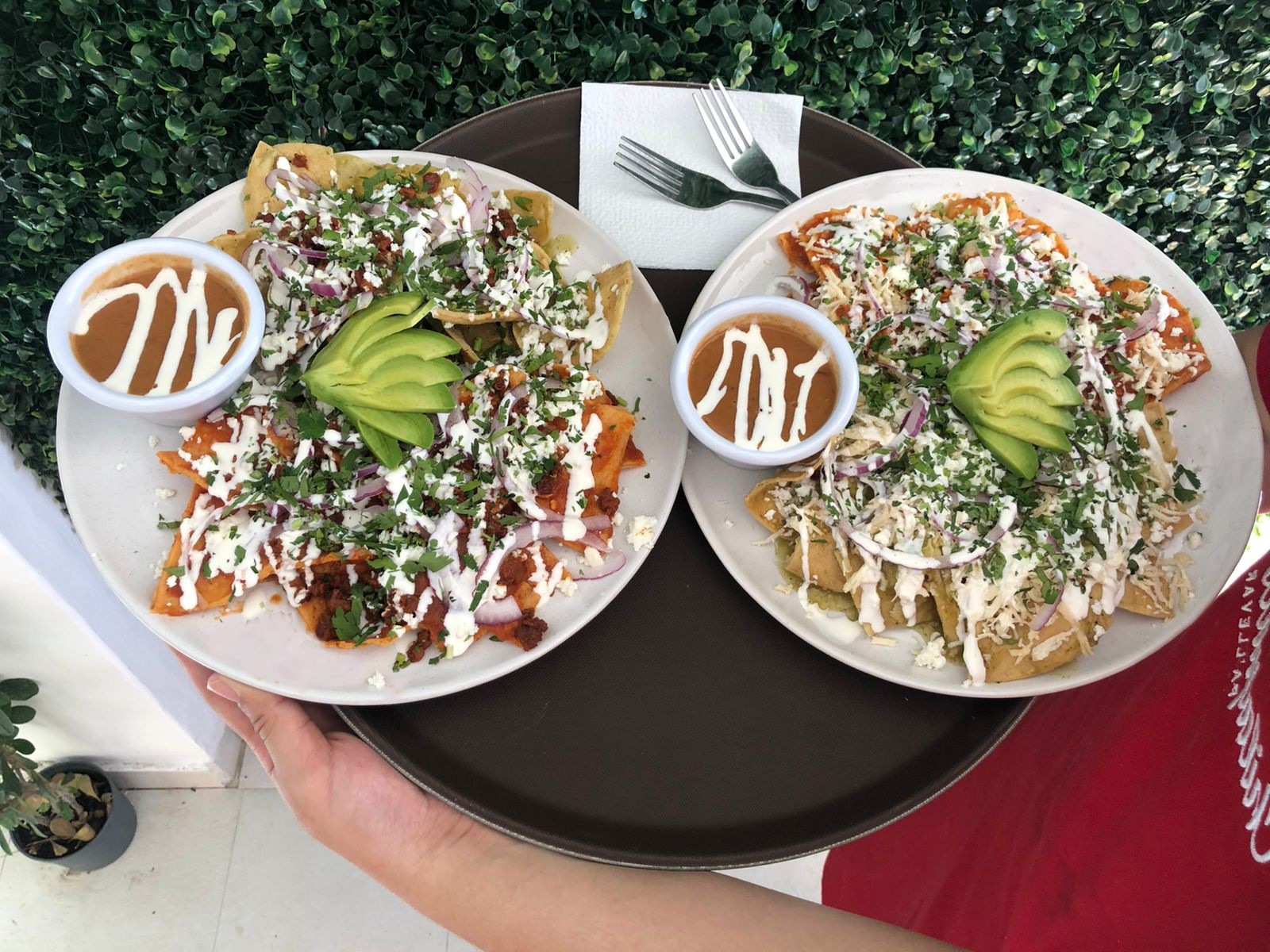 Chilaquiles Pa' Llevar Restaurante image 4