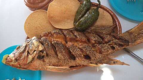 PESCADO FRITO EL CHATO image 8
