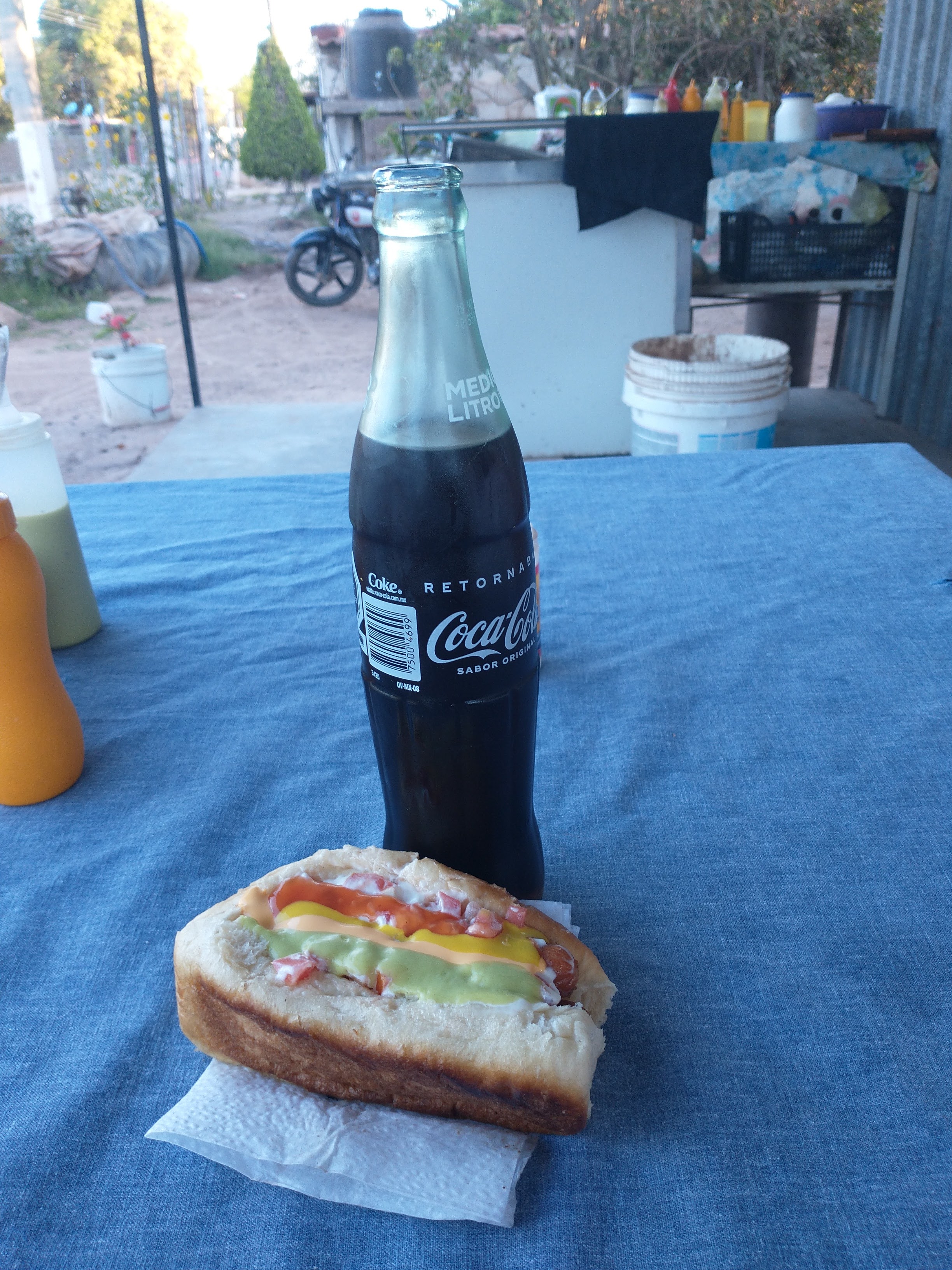 Hot dog viridiana image 3