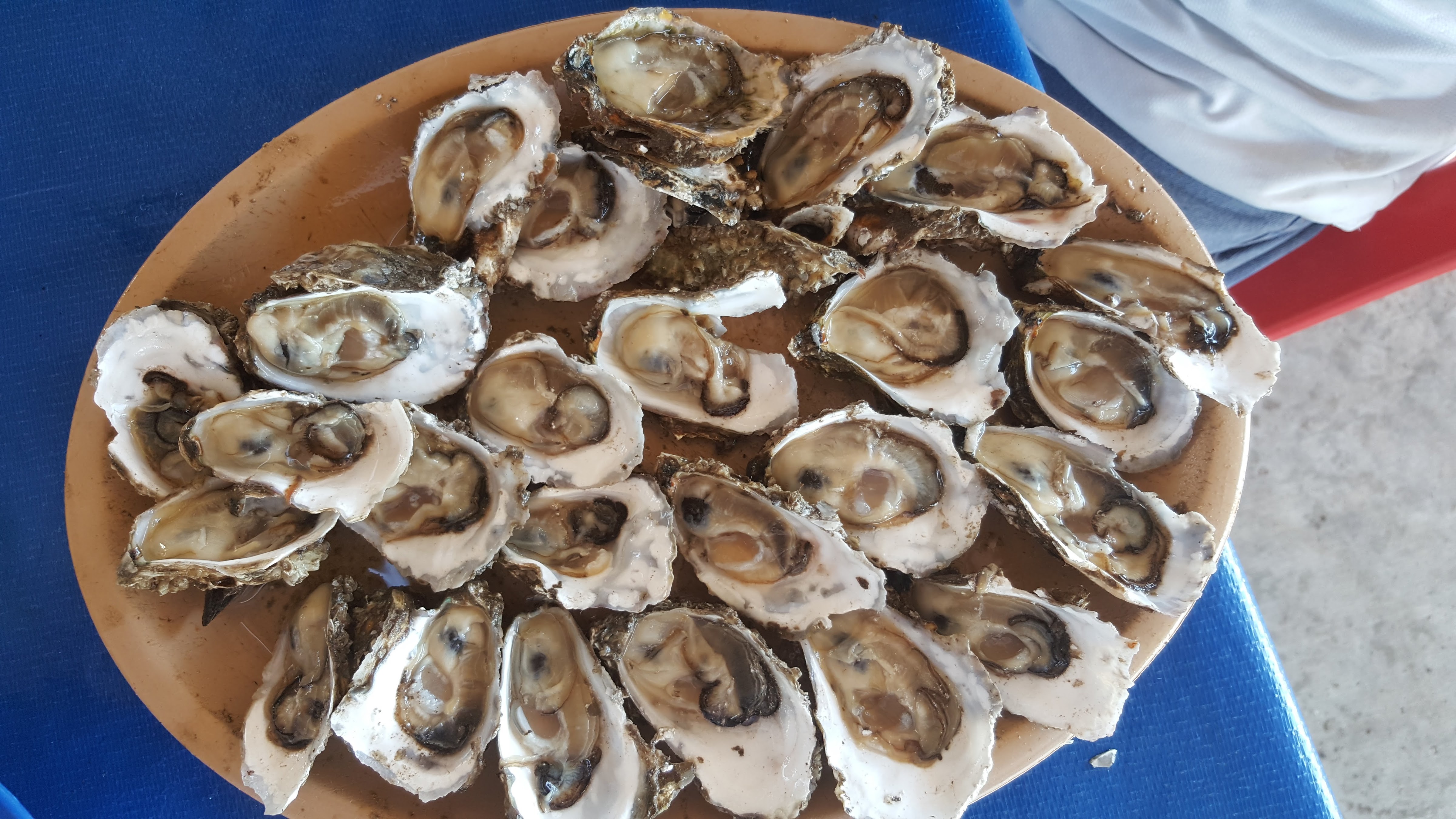 Restaurante La Majagüita image 1